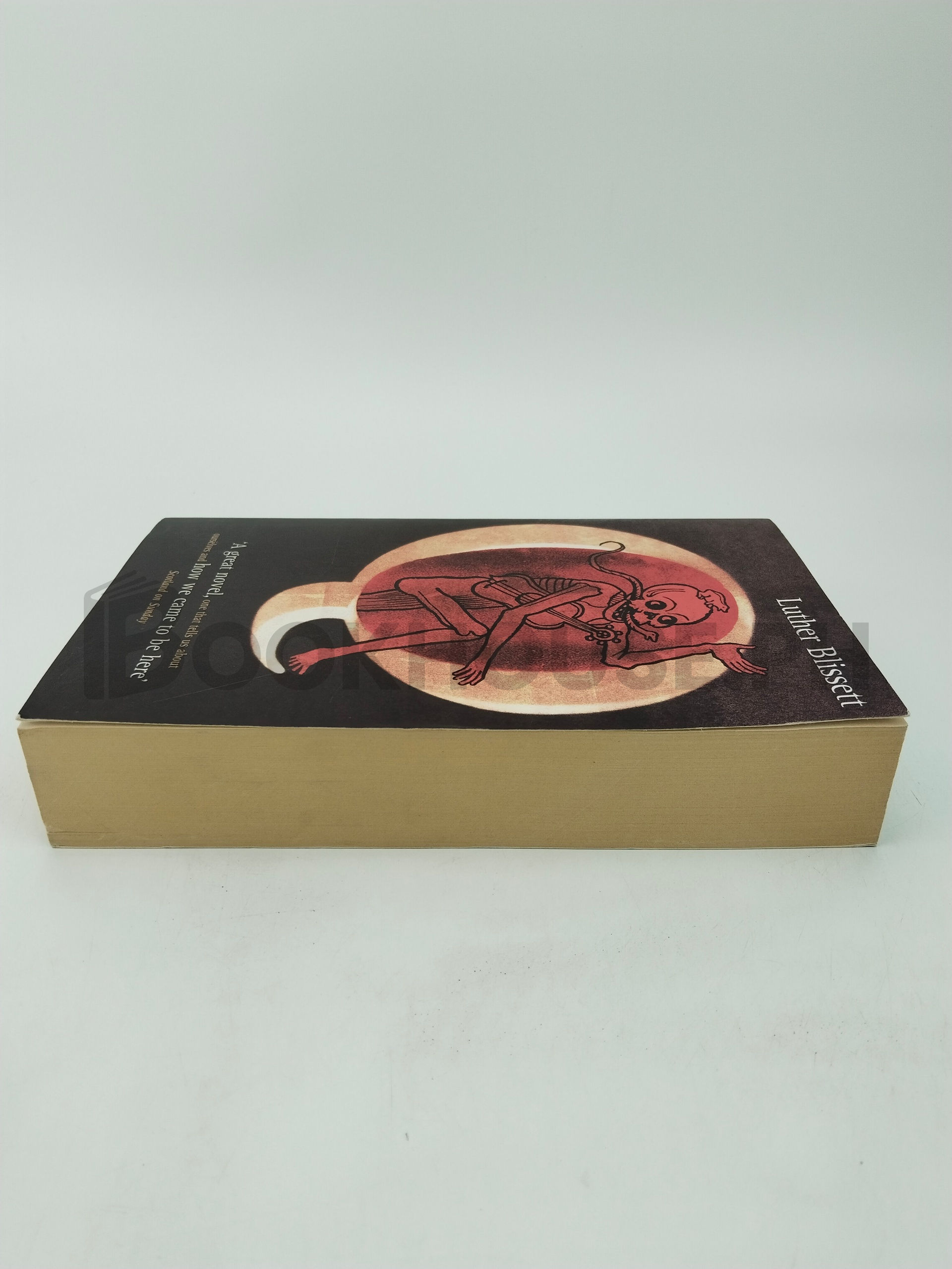 Q by Luther Blissett - Image 4