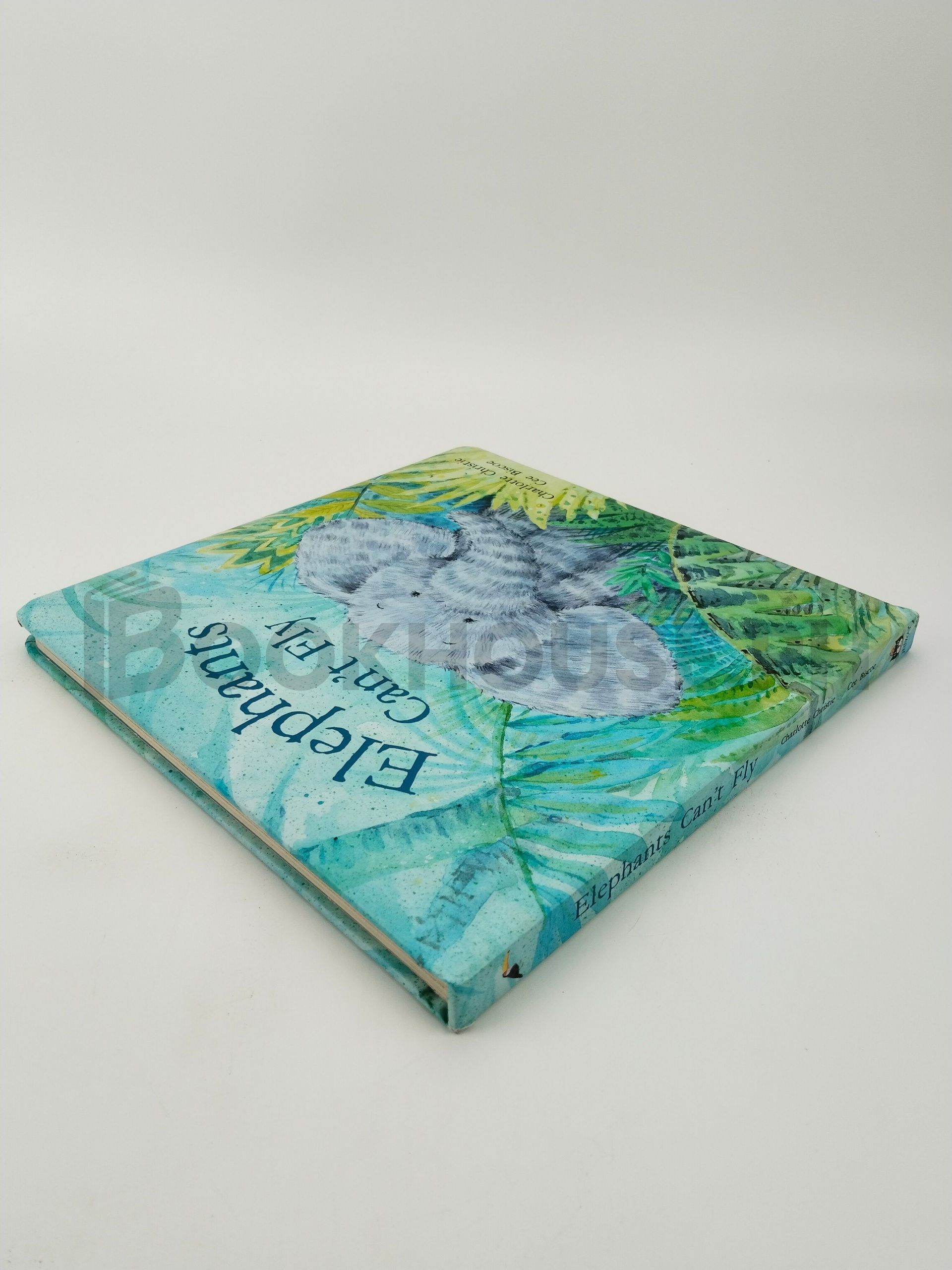 Elephants Can't Fly by Charlotte Christie, Cee Biscoe - Image 2