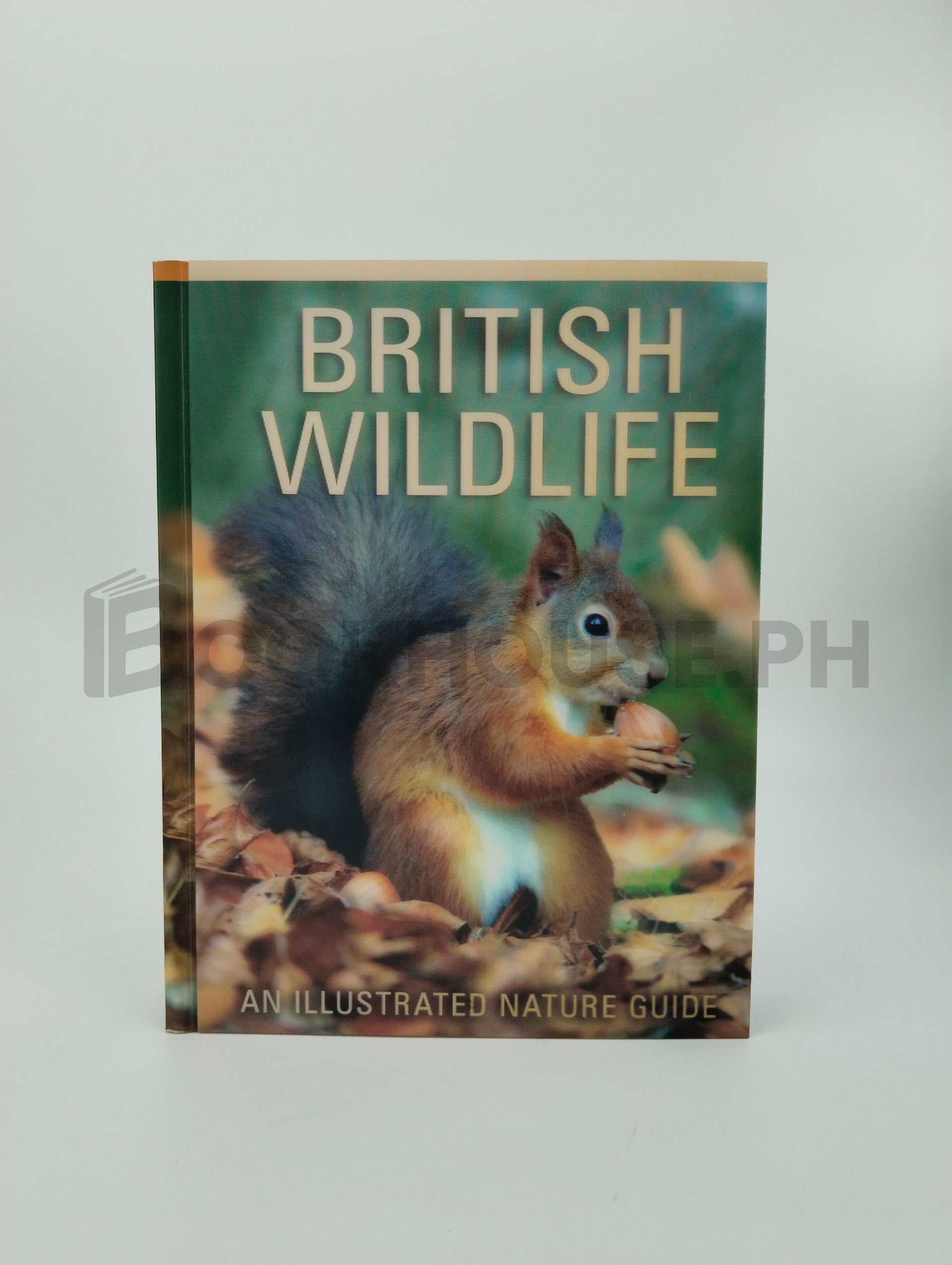 British Wildlife by Miles Kelly