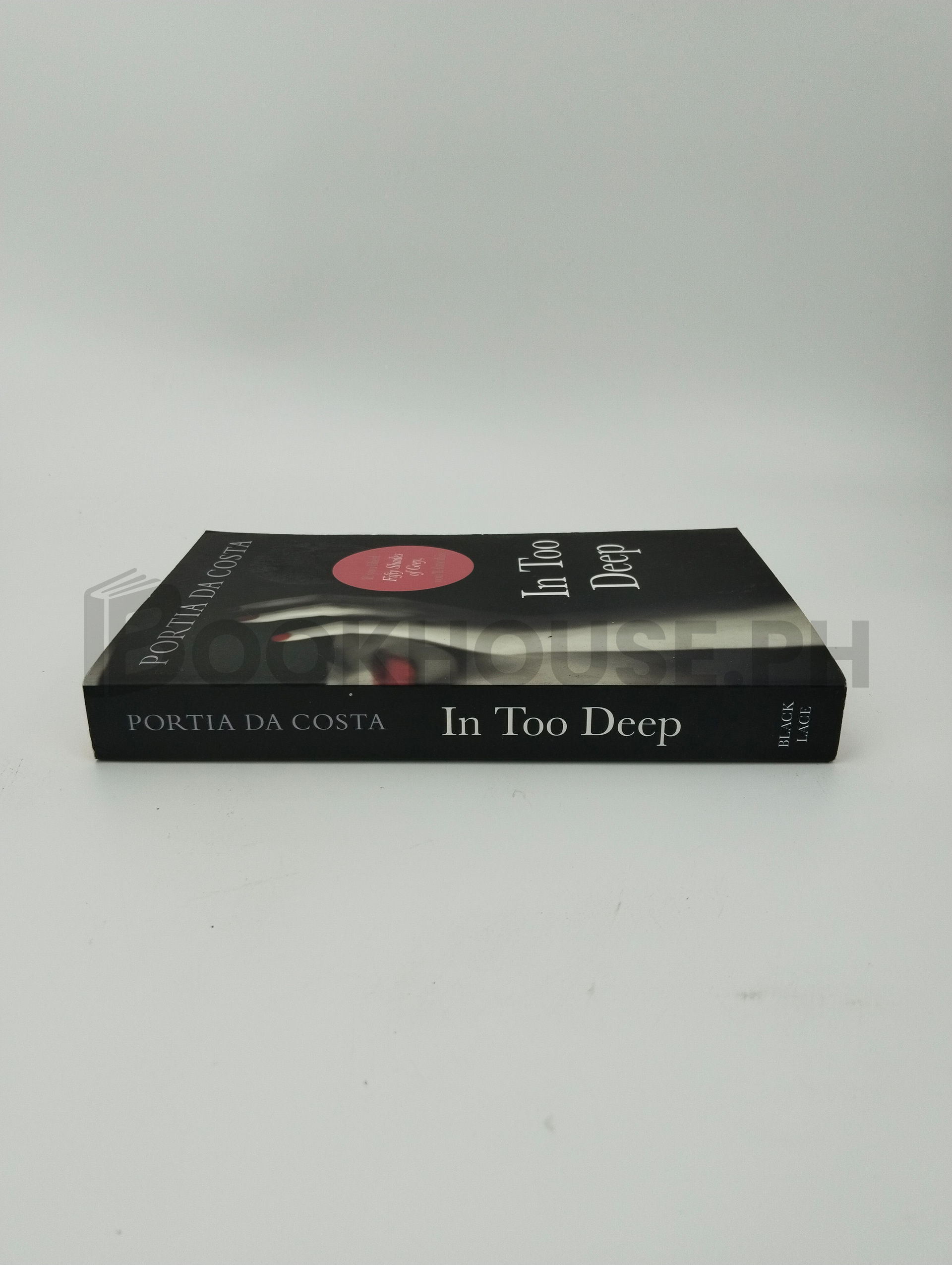 In Too Deep by Portia Da Costa - Image 3