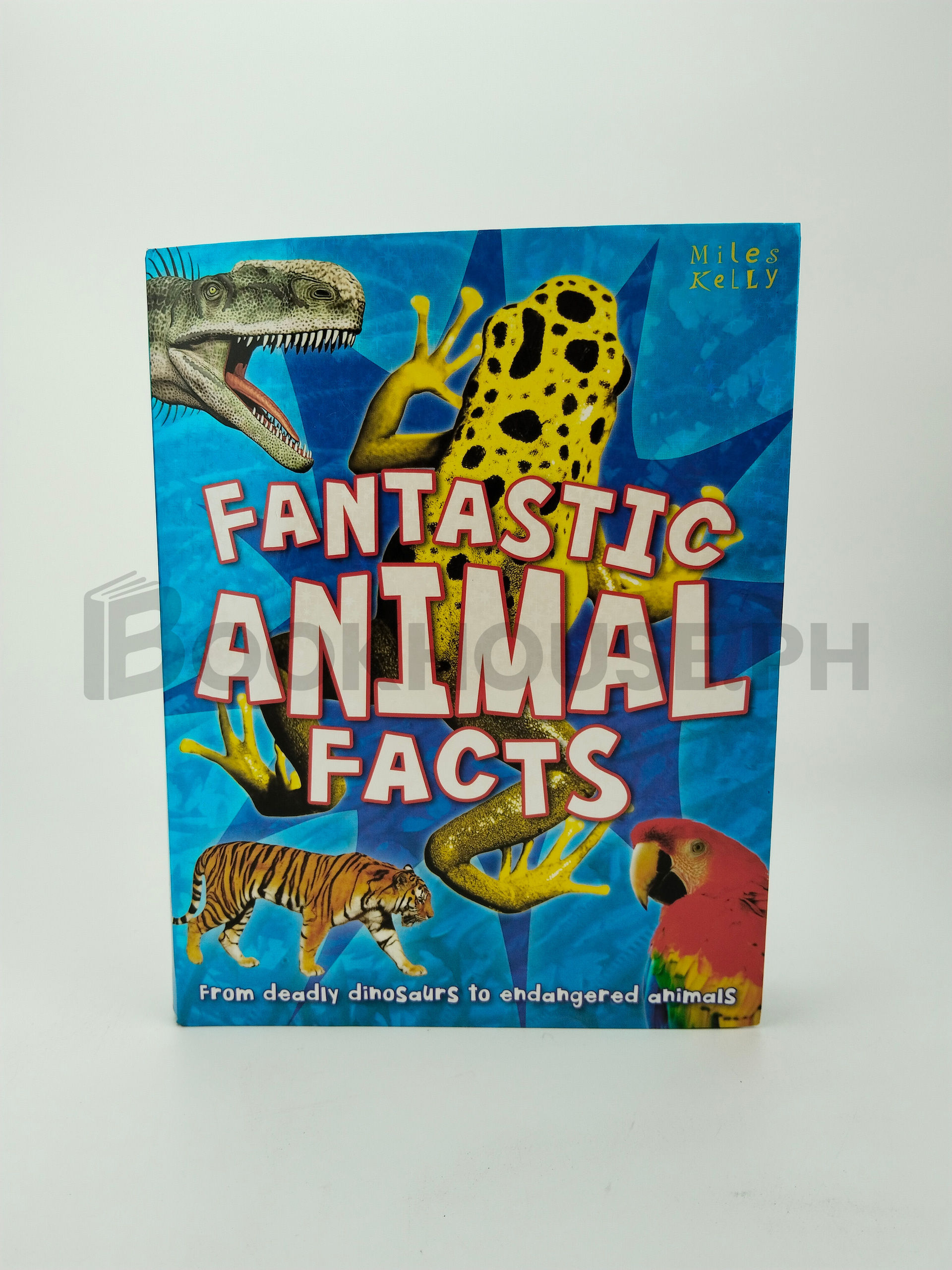 Fantastic Animal Facts by Miley Kelly