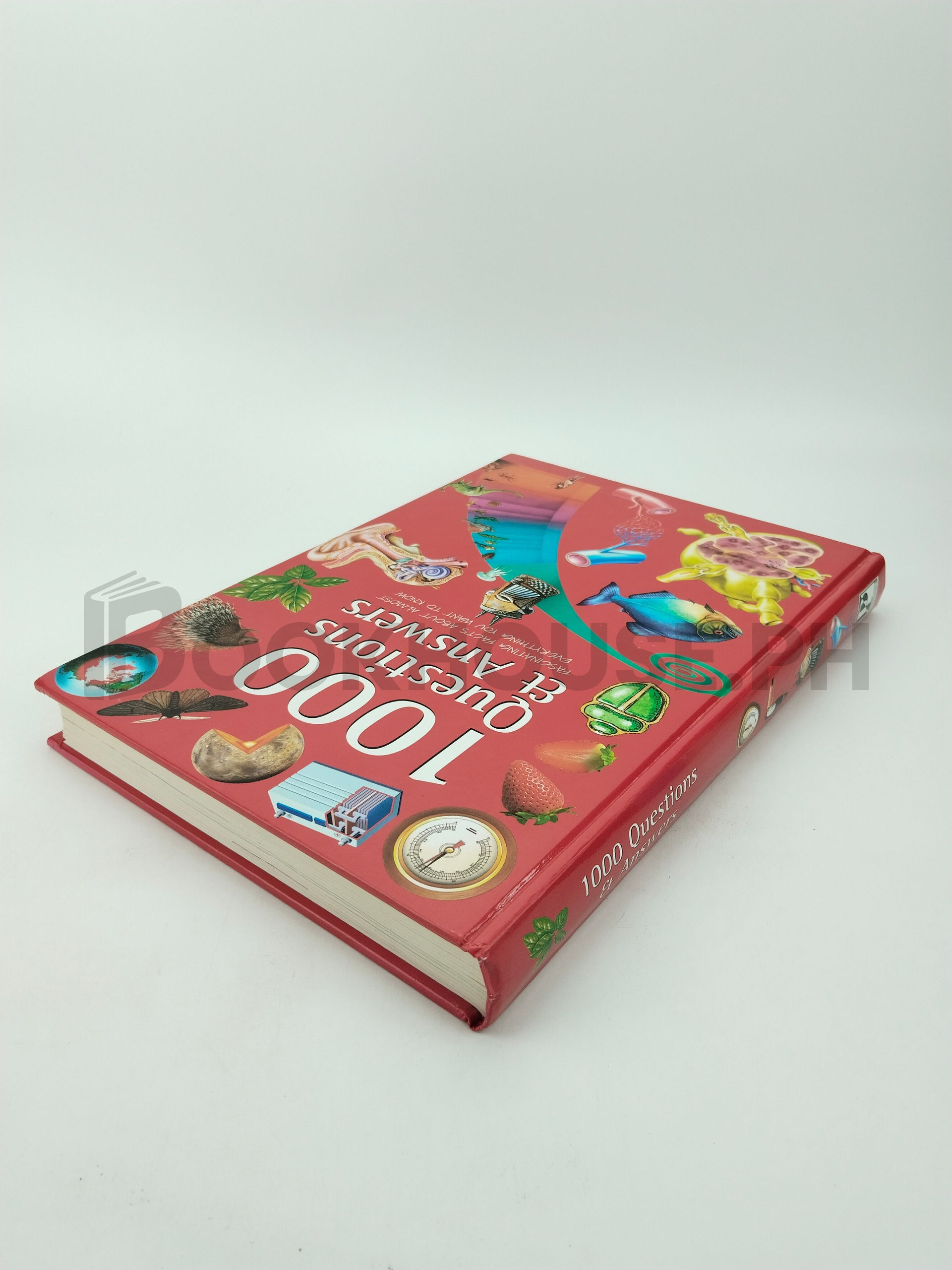 1000 Questions And Answers by Linda Sonntag - Image 2