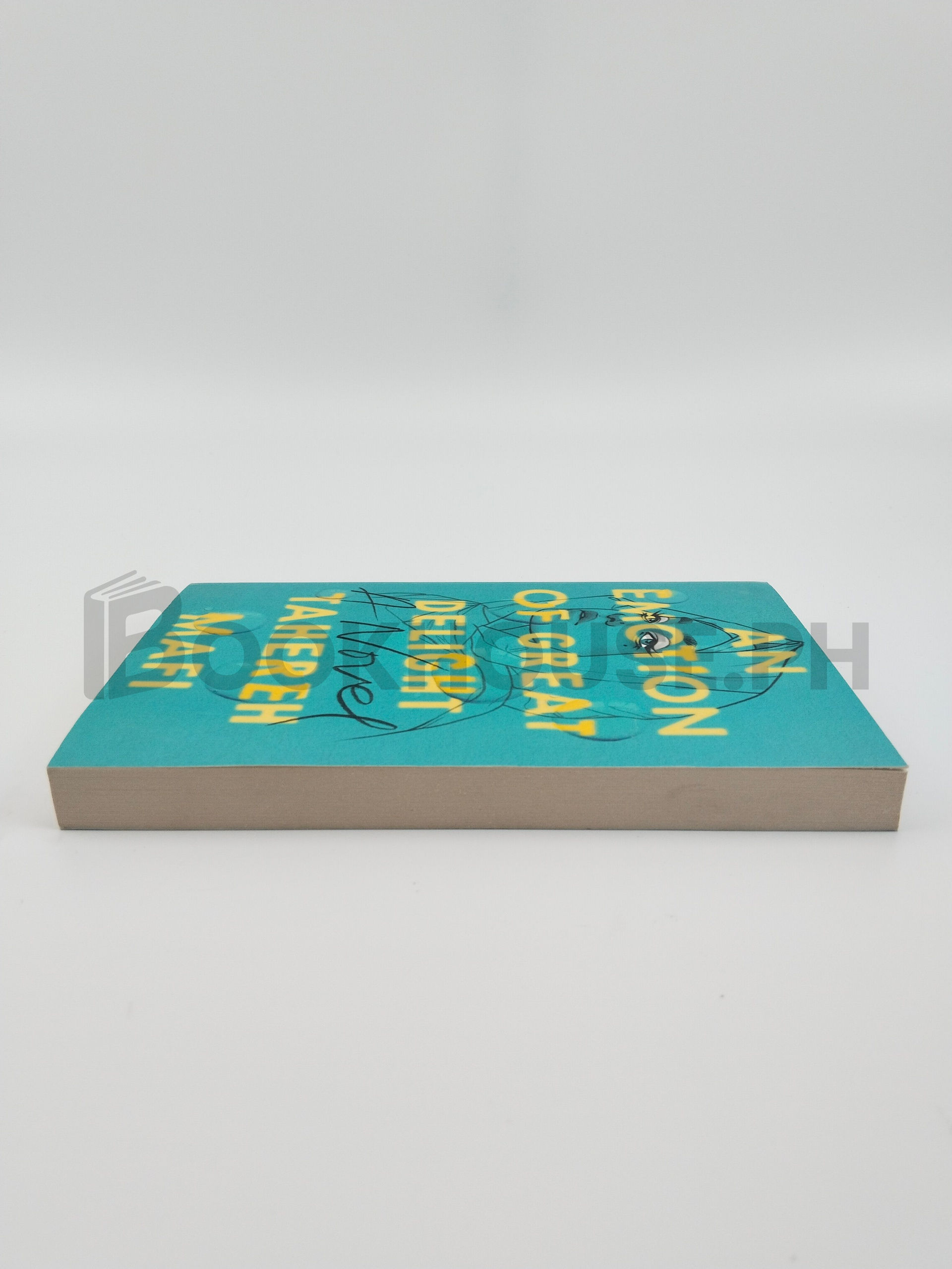 An Emotion Of Great Delight by Tahereh Mafi - Image 4