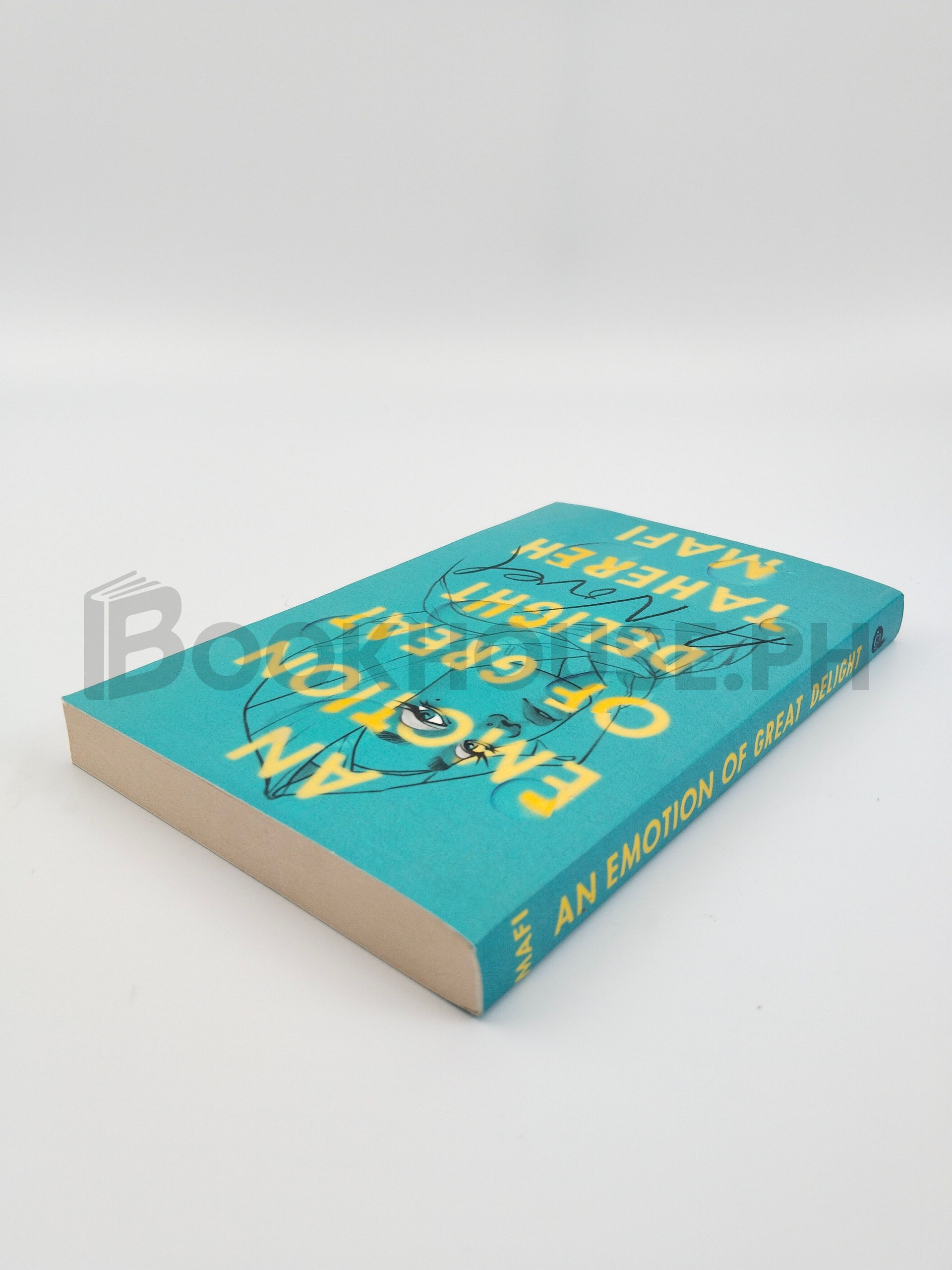 An Emotion Of Great Delight by Tahereh Mafi - Image 2