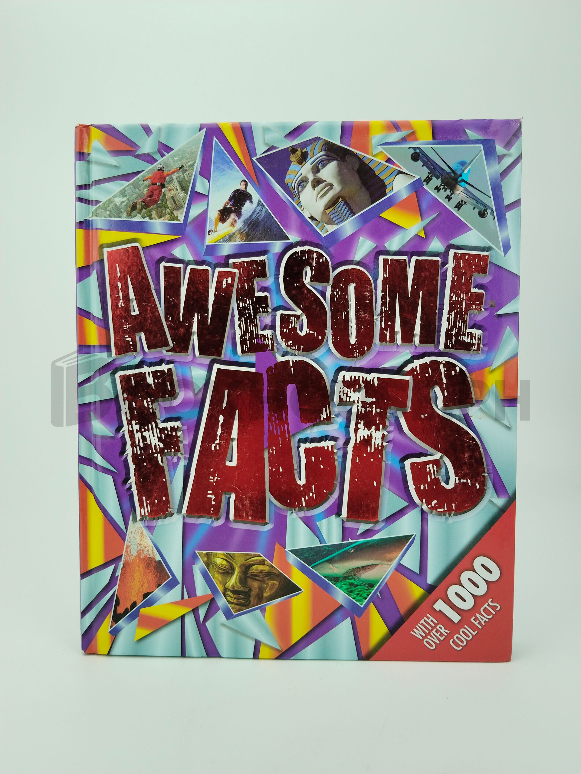 Awesome Facts by Igloo Books Ltd