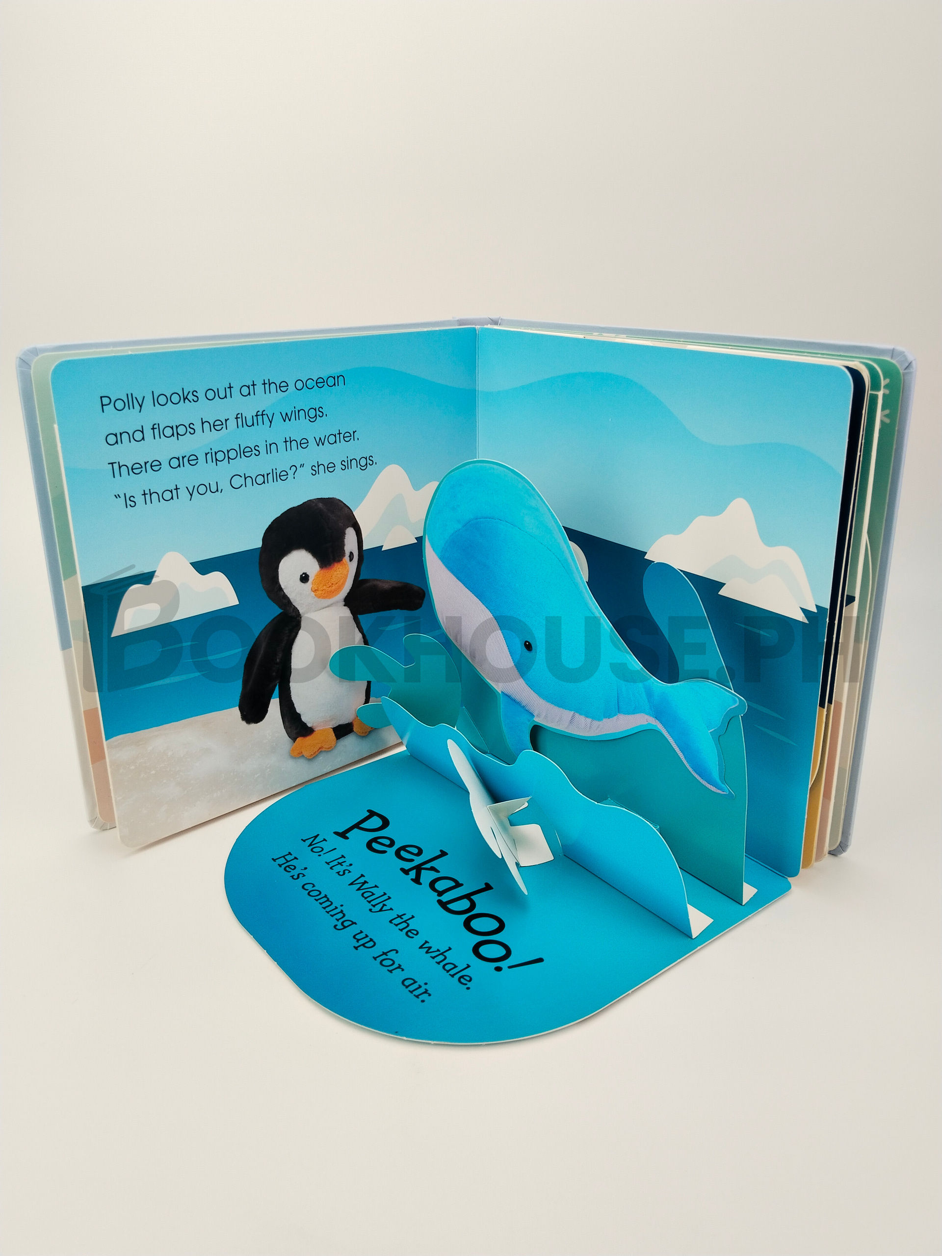 Pop Up Peekaboo! Penguin by Clare Lloyd (children's Book Author) - Image 5