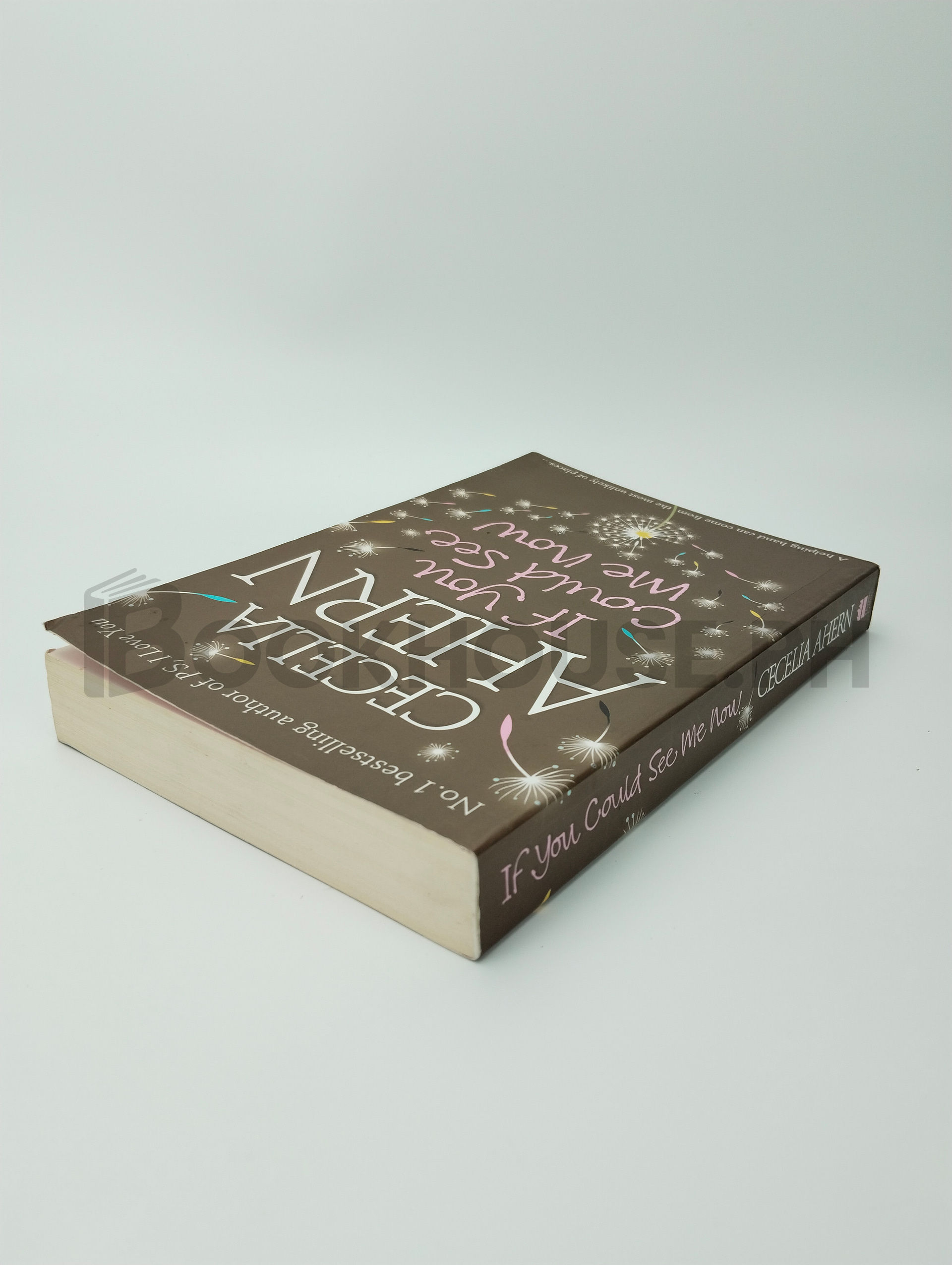 If You Could See Me Now by Cecelia Ahern - Image 2