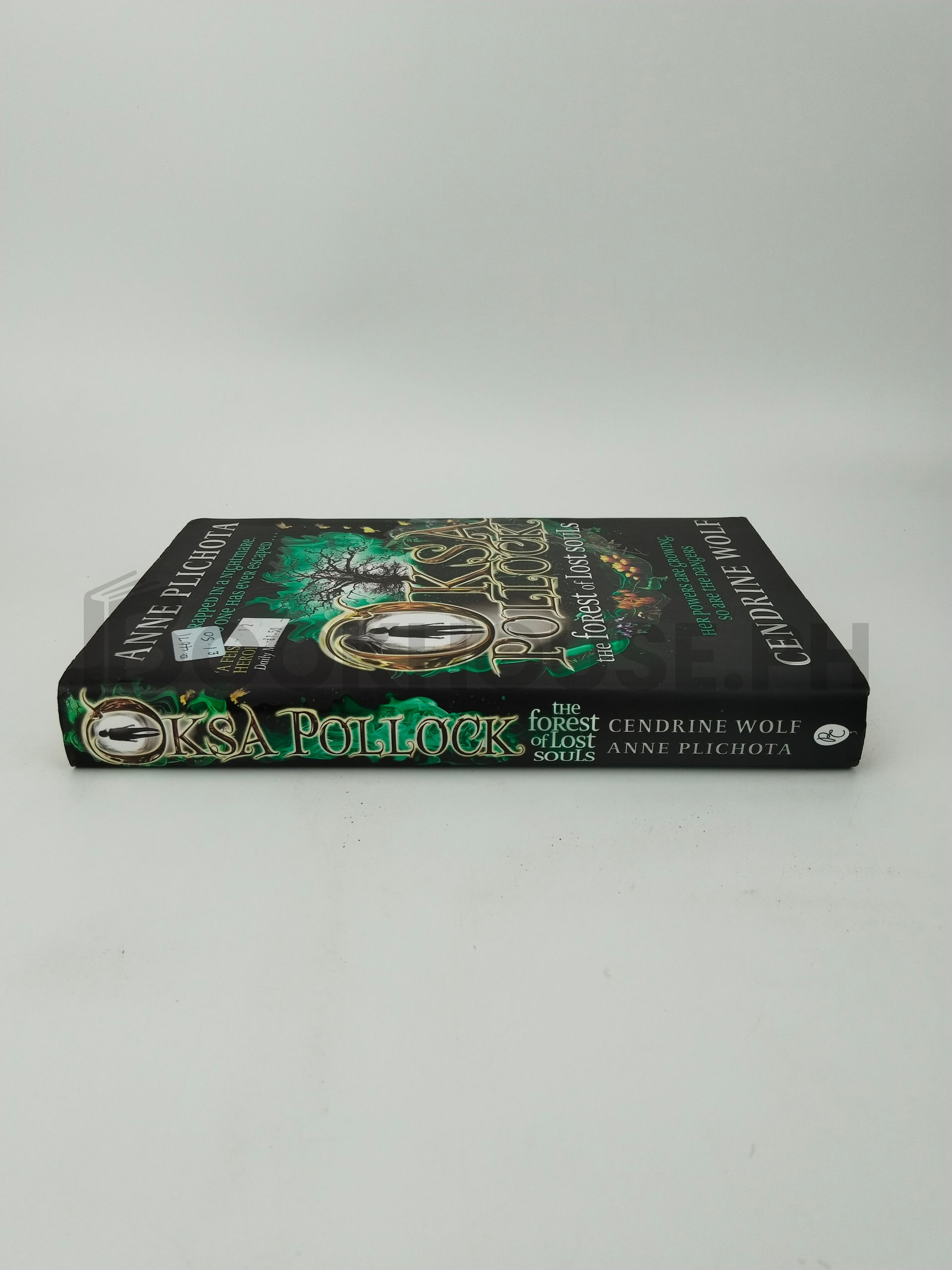 The Forest Of Lost Souls by Anne Plichota, Cendrine Wolf, Sue Rose - Image 3