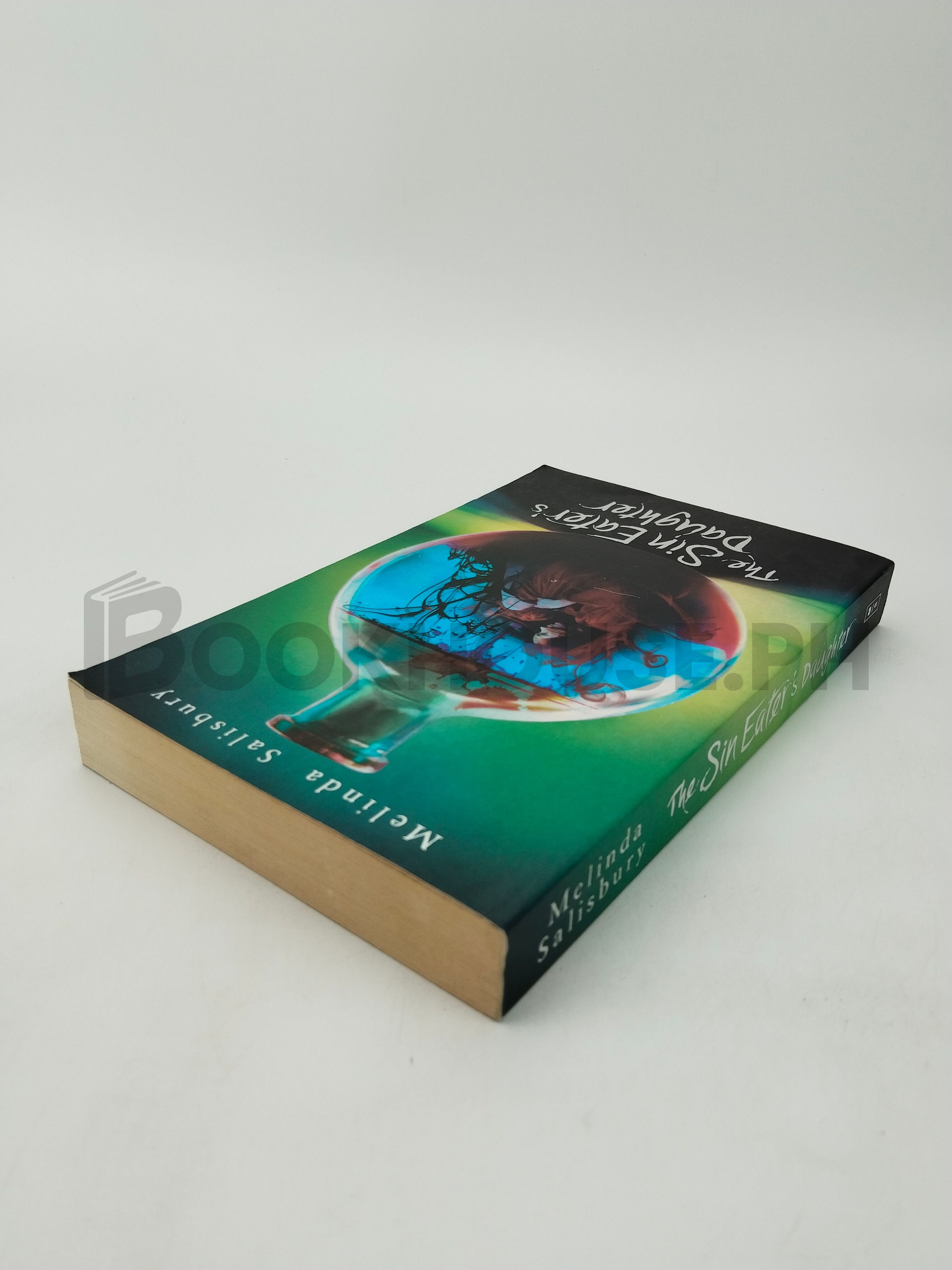 The Sin Eater's Daughter by Melinda Salisbury - Image 2