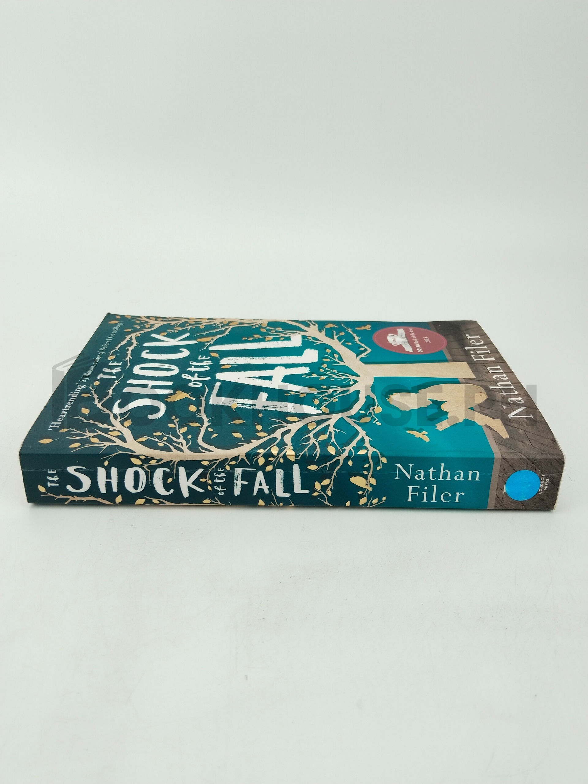 The Shock Of The Fall by Nathan Filer - Image 3