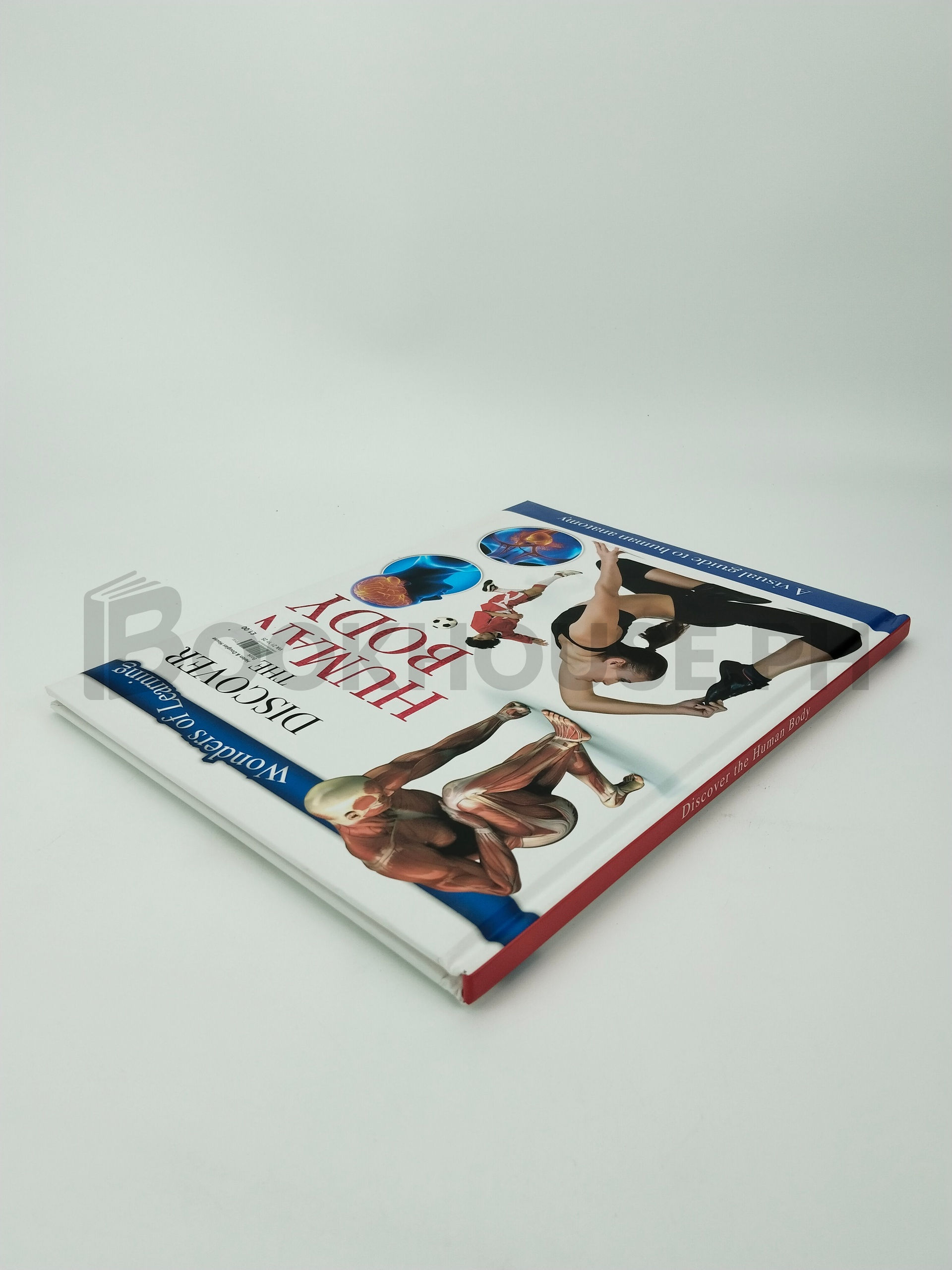 First Human Body Book by Sean Kennelly (editor) - Image 2