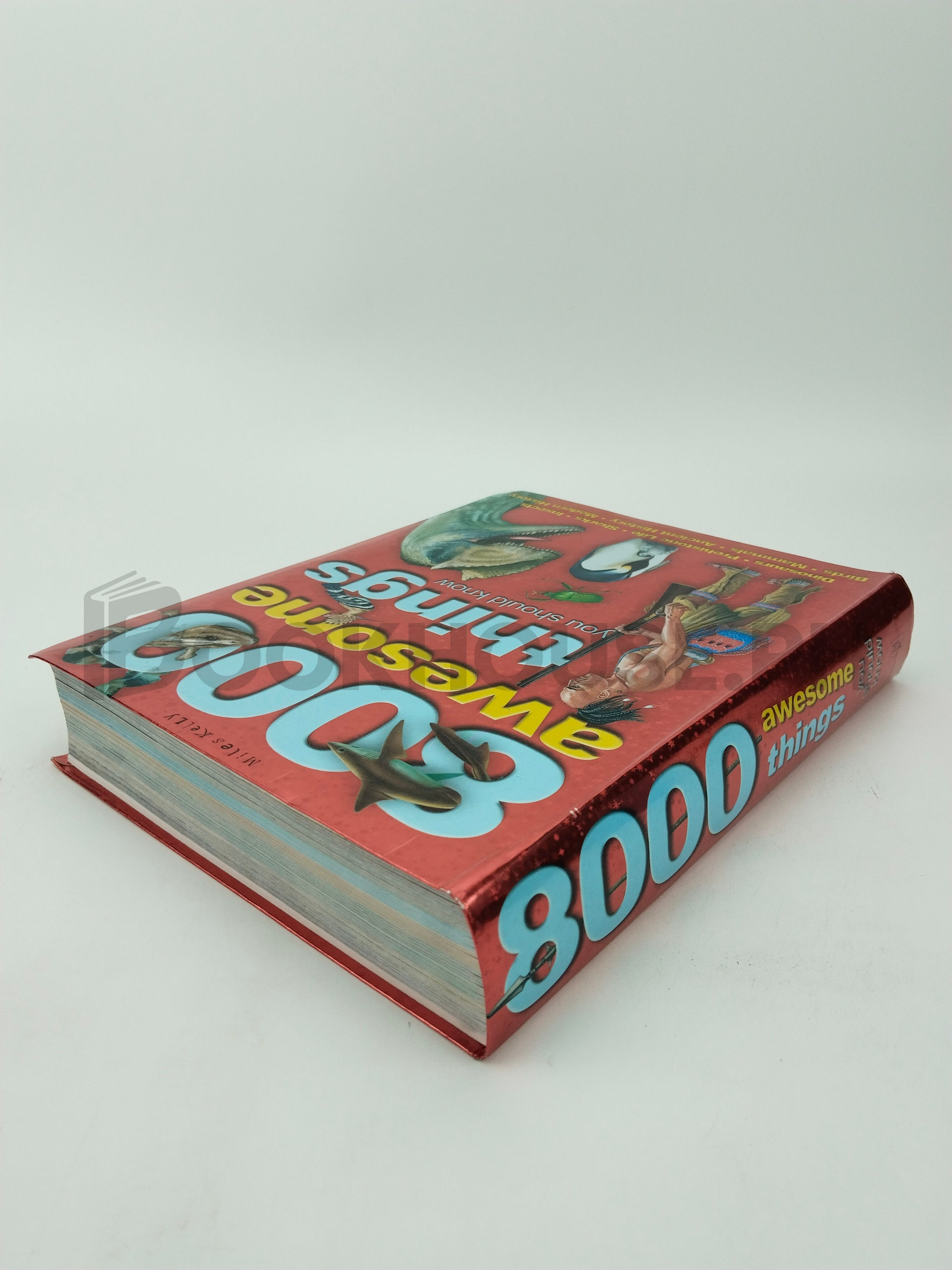 8000 Awesome Things You Should Know by Miles Kelly - Image 2