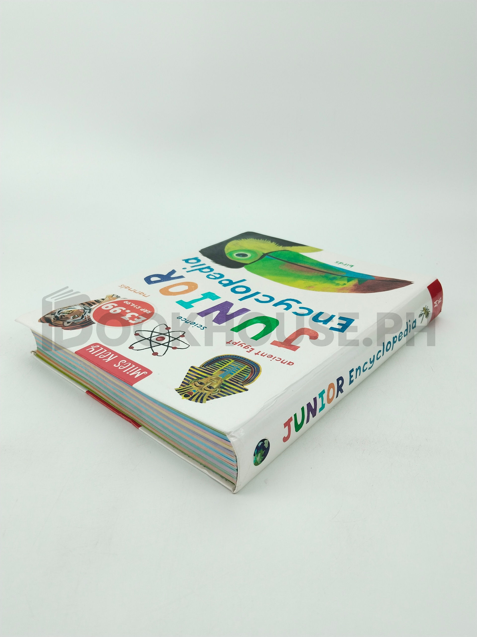 Junior Encyclopedia by Amanda Askew, Fran Bromage - Image 2