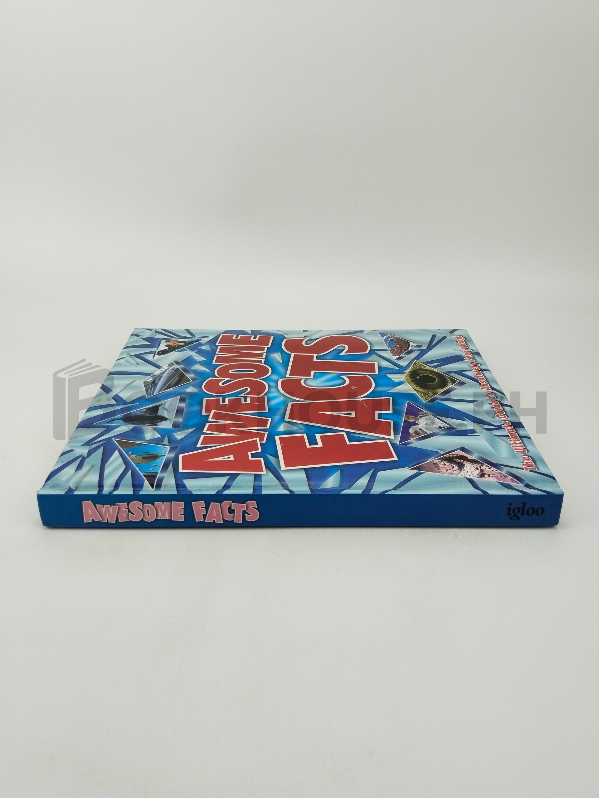 Awesome Facts by Igloo Books - Image 3