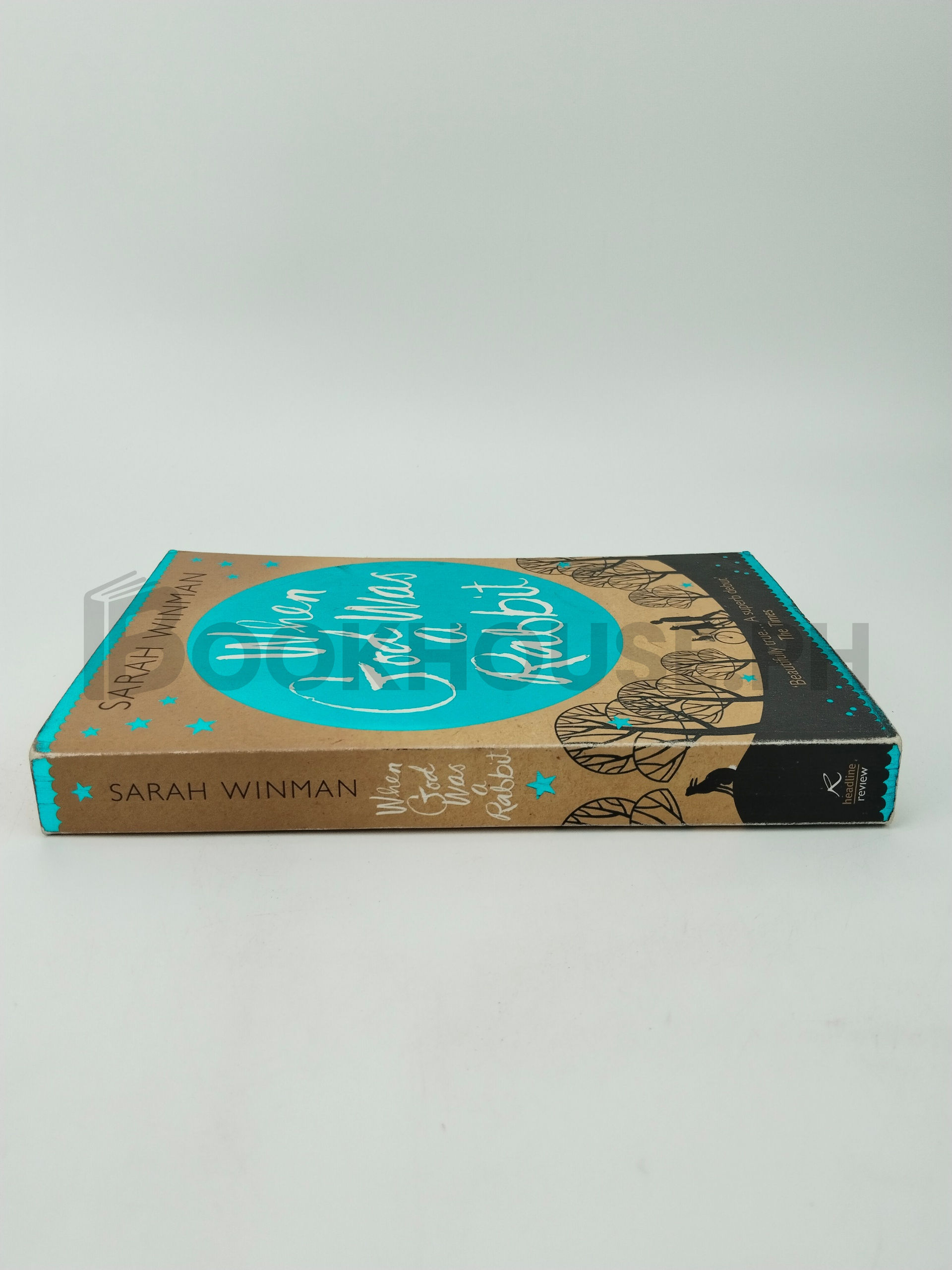 When God Was A Rabbit by Sarah Winman - Image 3