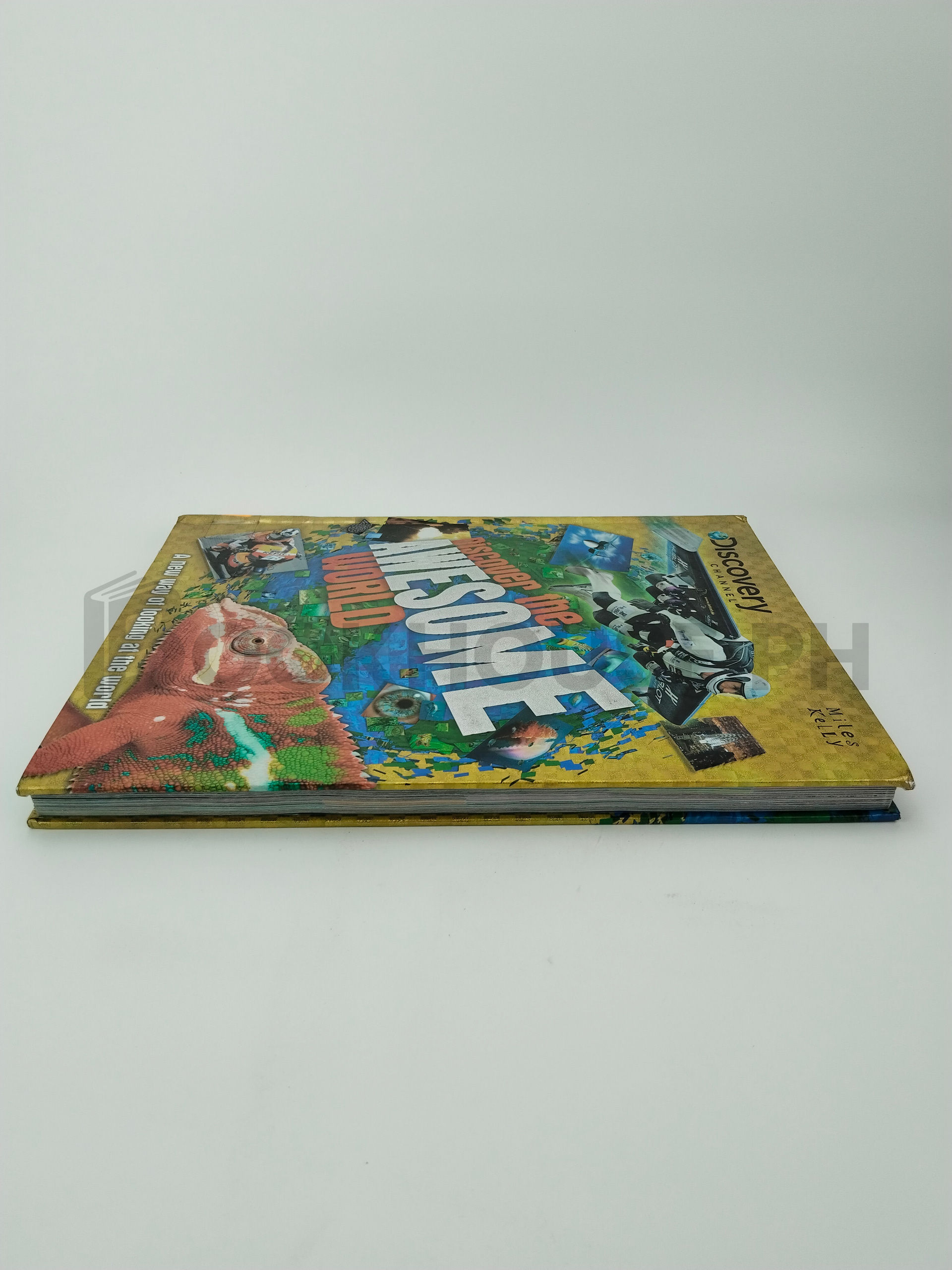 Discover The Awesome World by Camilla De La Bédoyère, Amanda Askew - Image 4