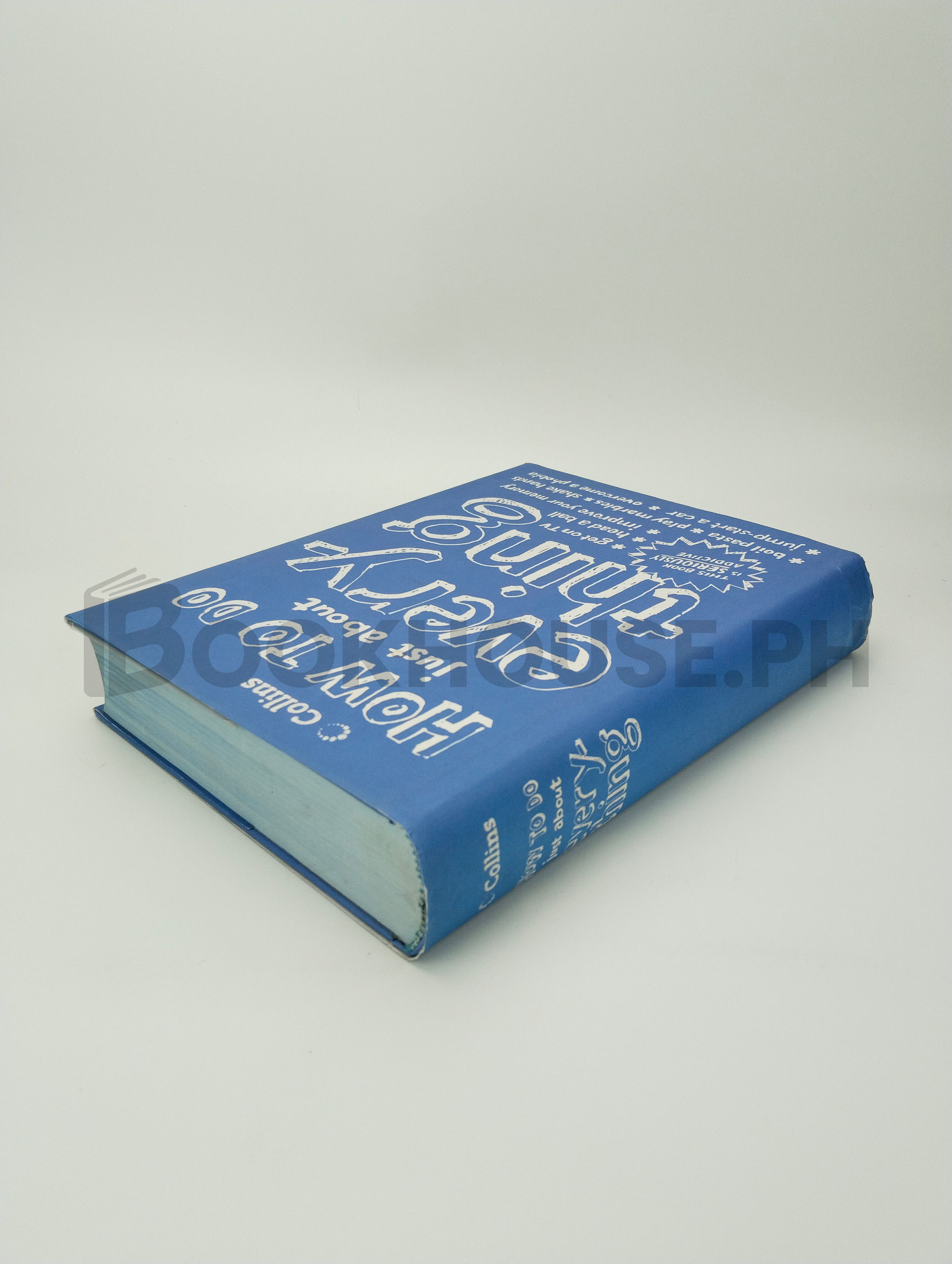 How To Do Just About Every-thing by Courtney Rosen - Image 2