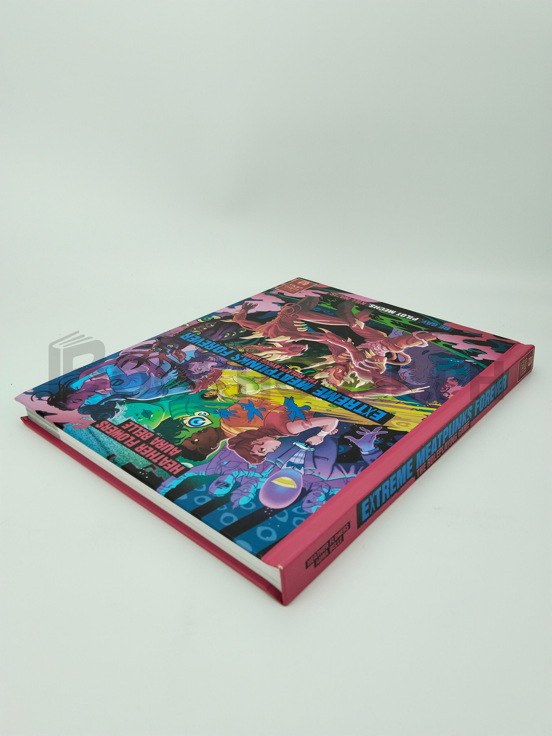 Extreme Meat Punks Forever The Role Playing Game by Heather Flowers And Aura Belle - Image 2