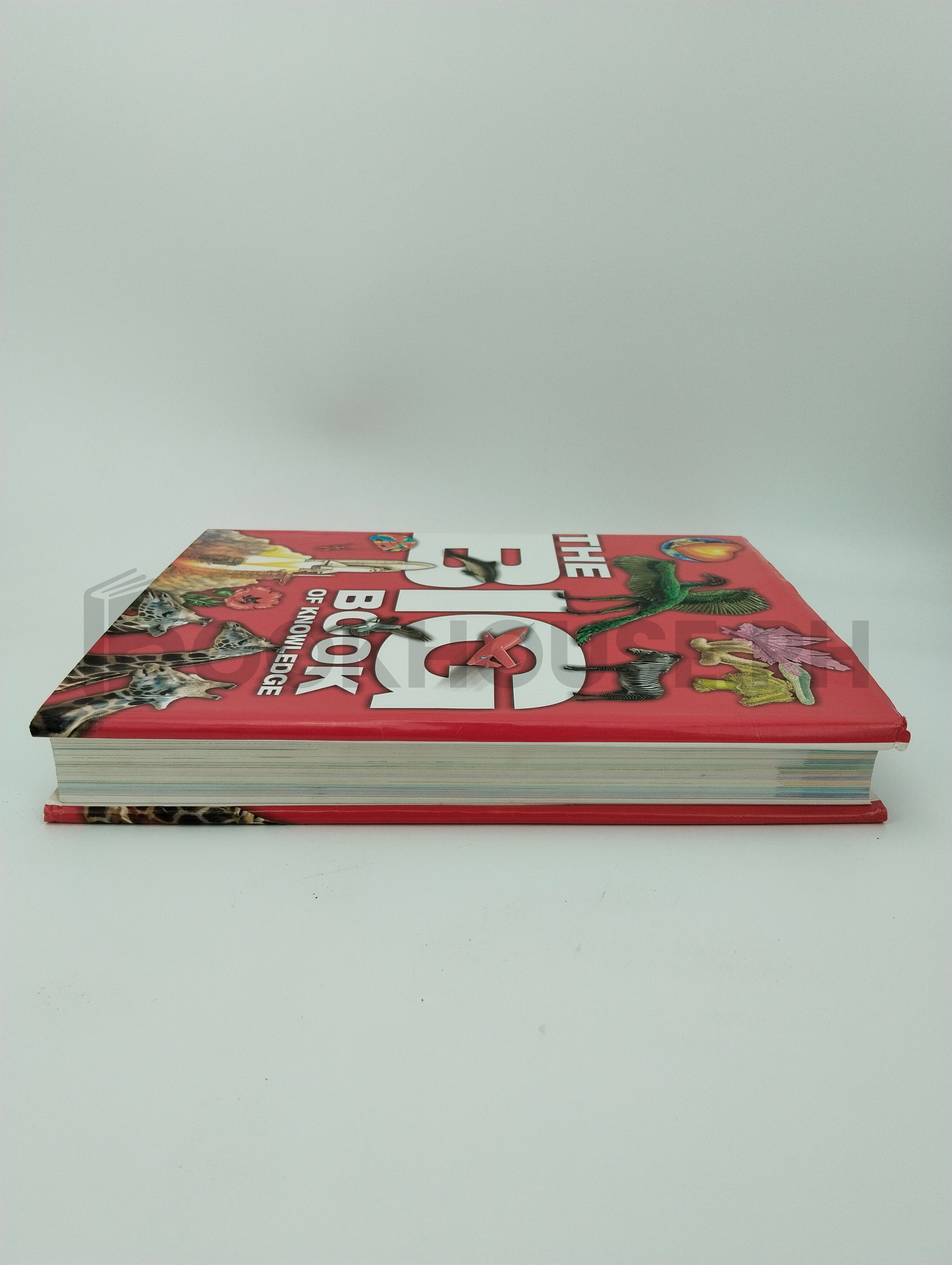 The Big Book Of Knowledge by John Farndon, Angela Koo - Image 4