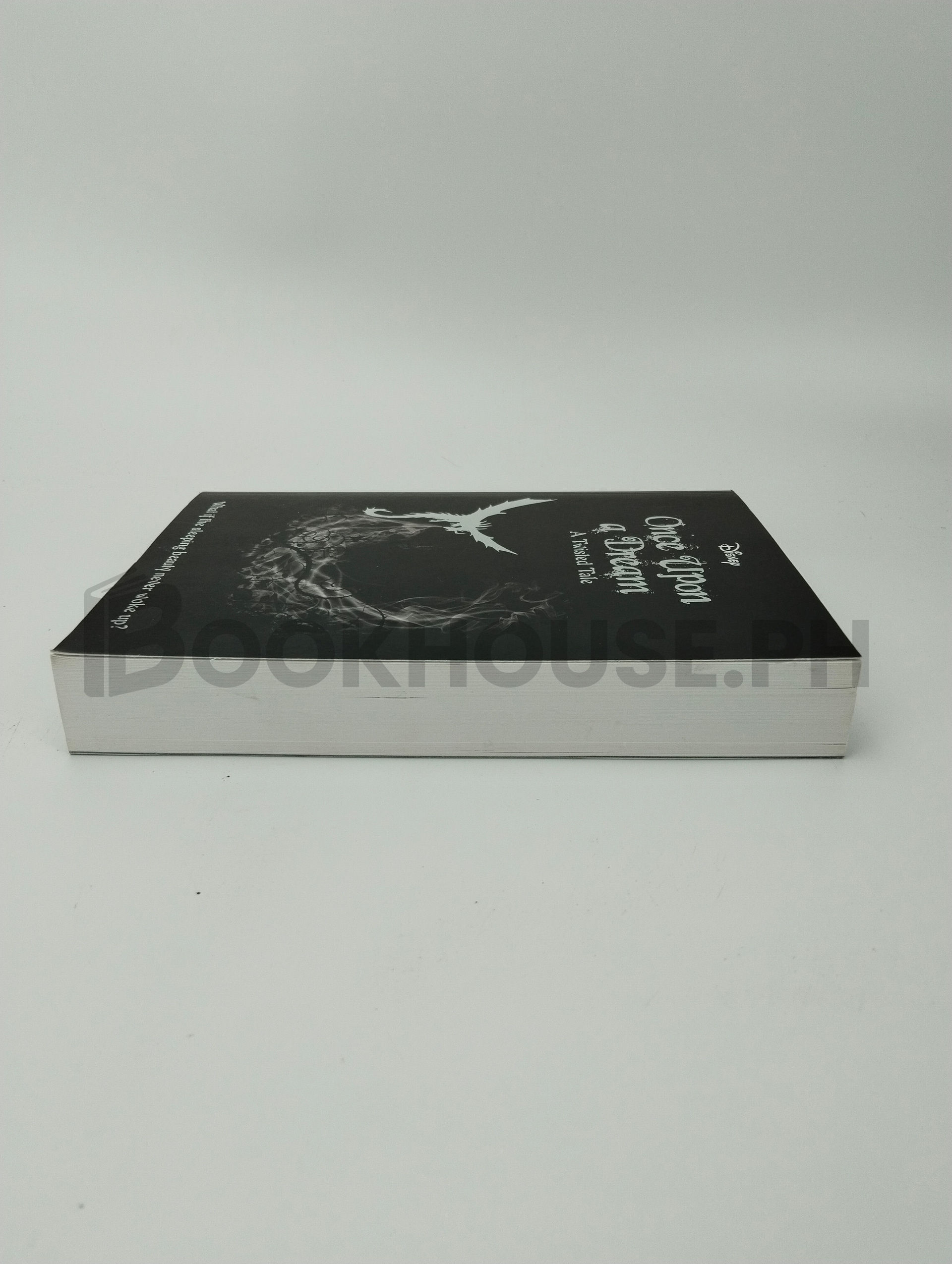 Sleeping Beauty: Once Upon A Dream by Liz Braswell - Image 4