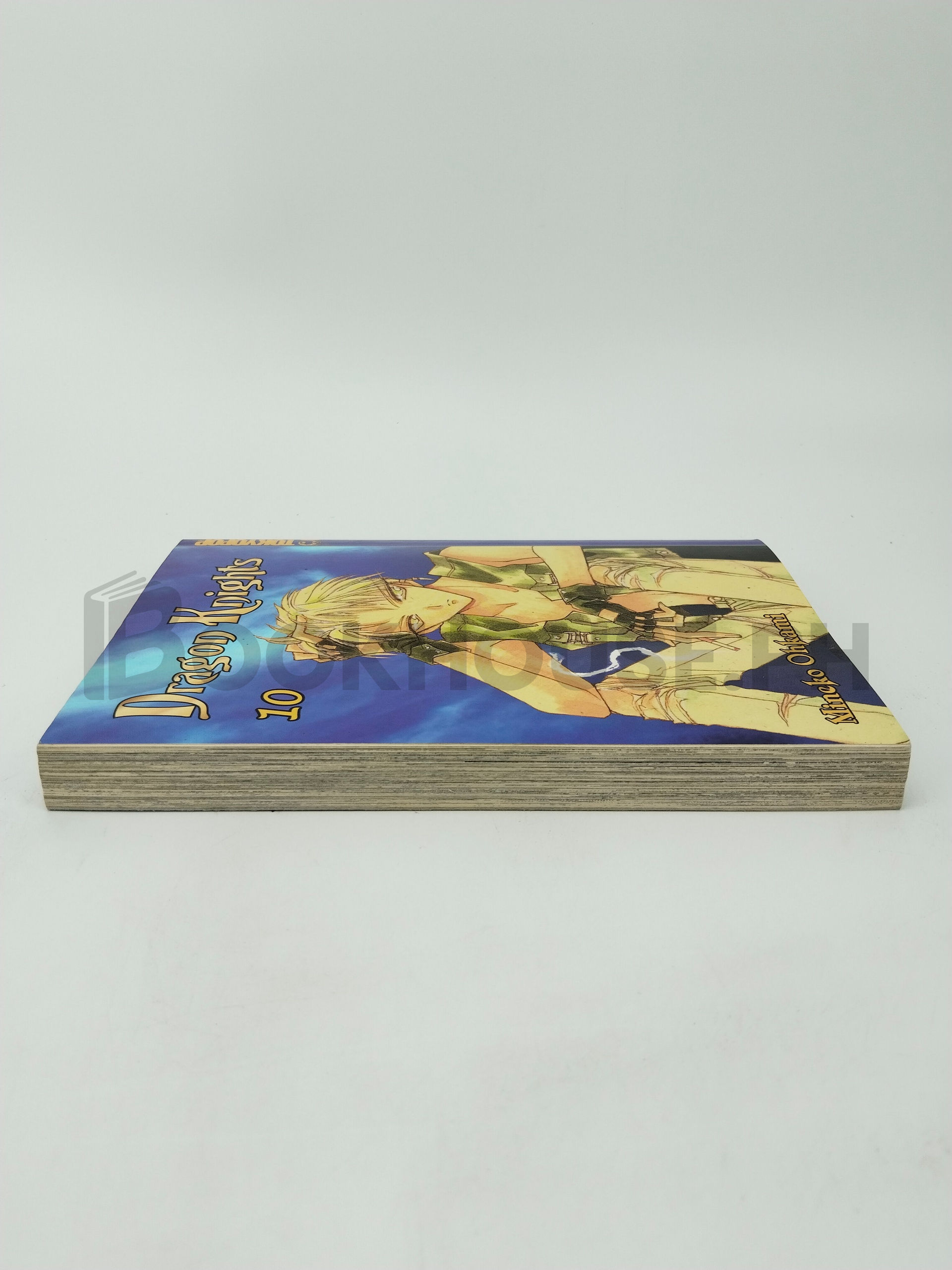 Dragon Knights 10 by Mineko Ohkami - Image 4