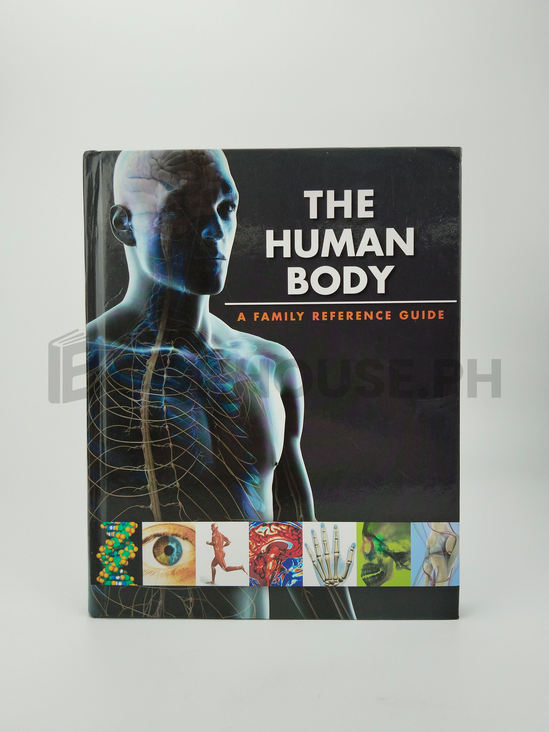 The Human Body by Guy Croton