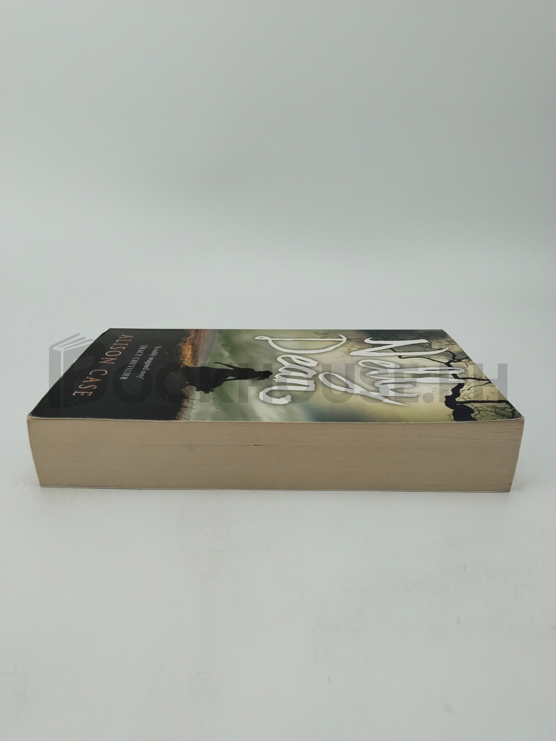 Nelly Dean by Alison Case - Image 4