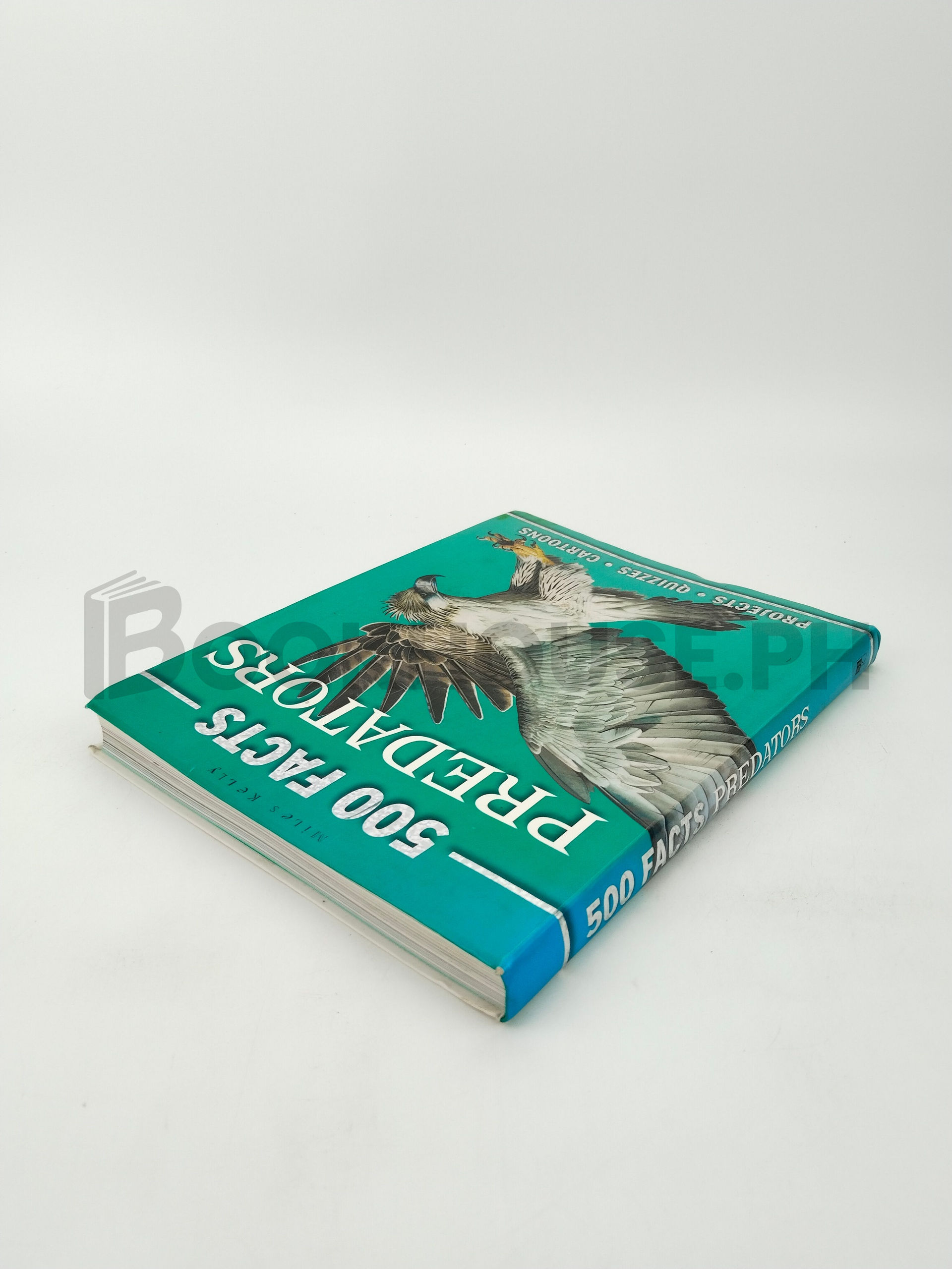 Predators by Belinda Gallagher - Image 2