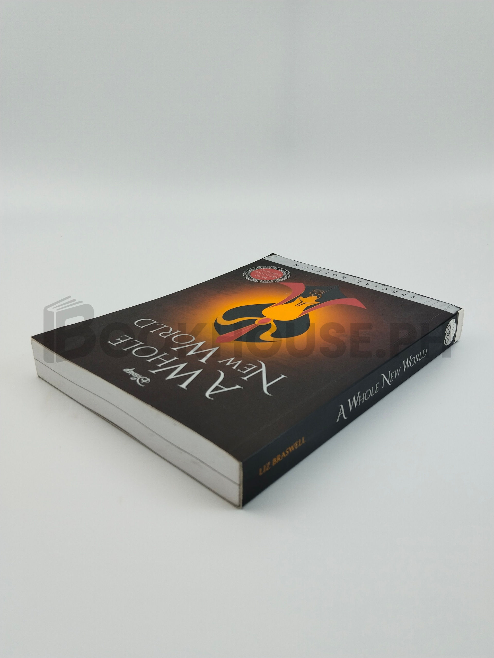 A Whole New World by Liz Braswell - Image 2