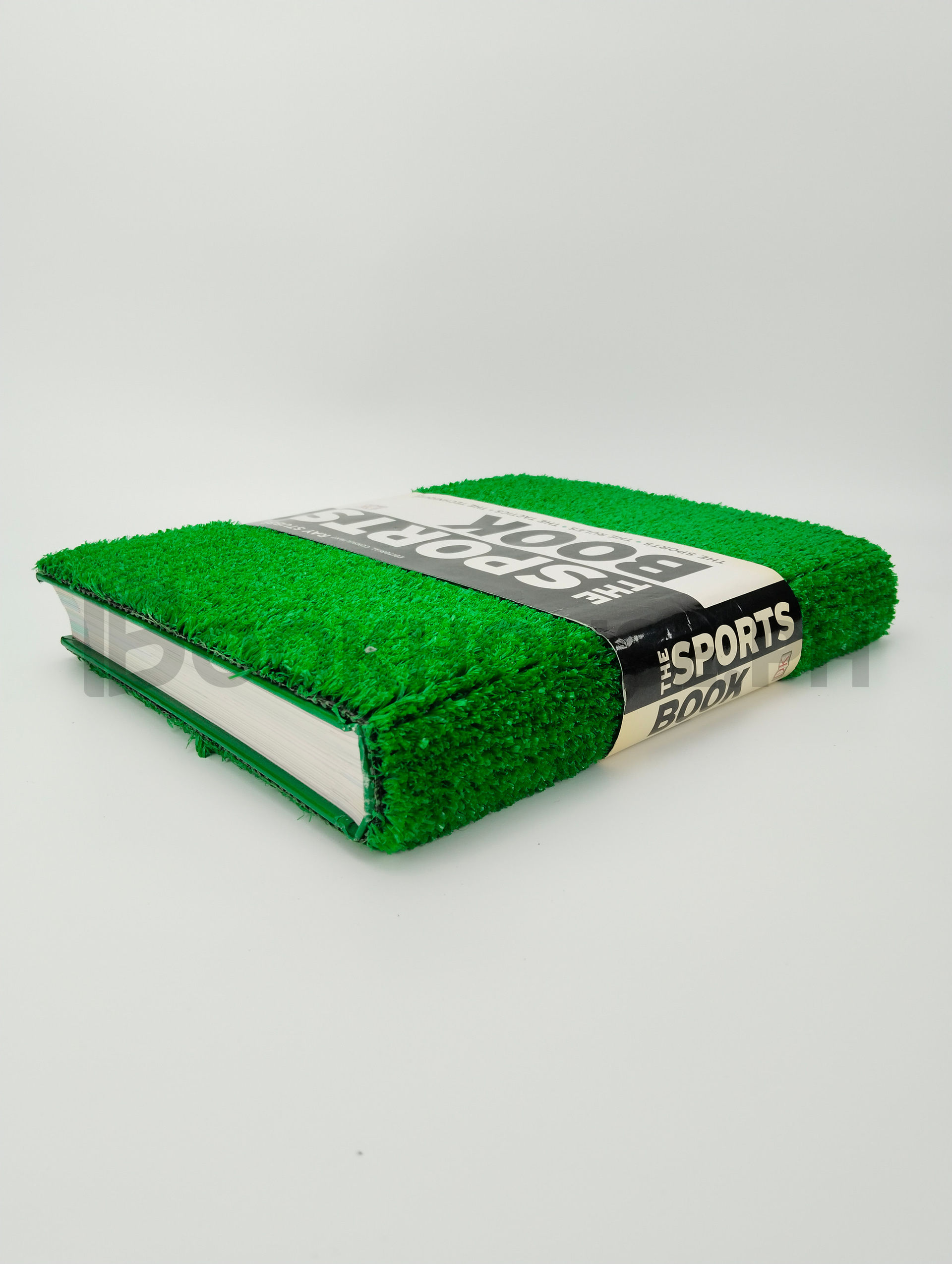 The Sports Book by Ray Stubbs - Image 2