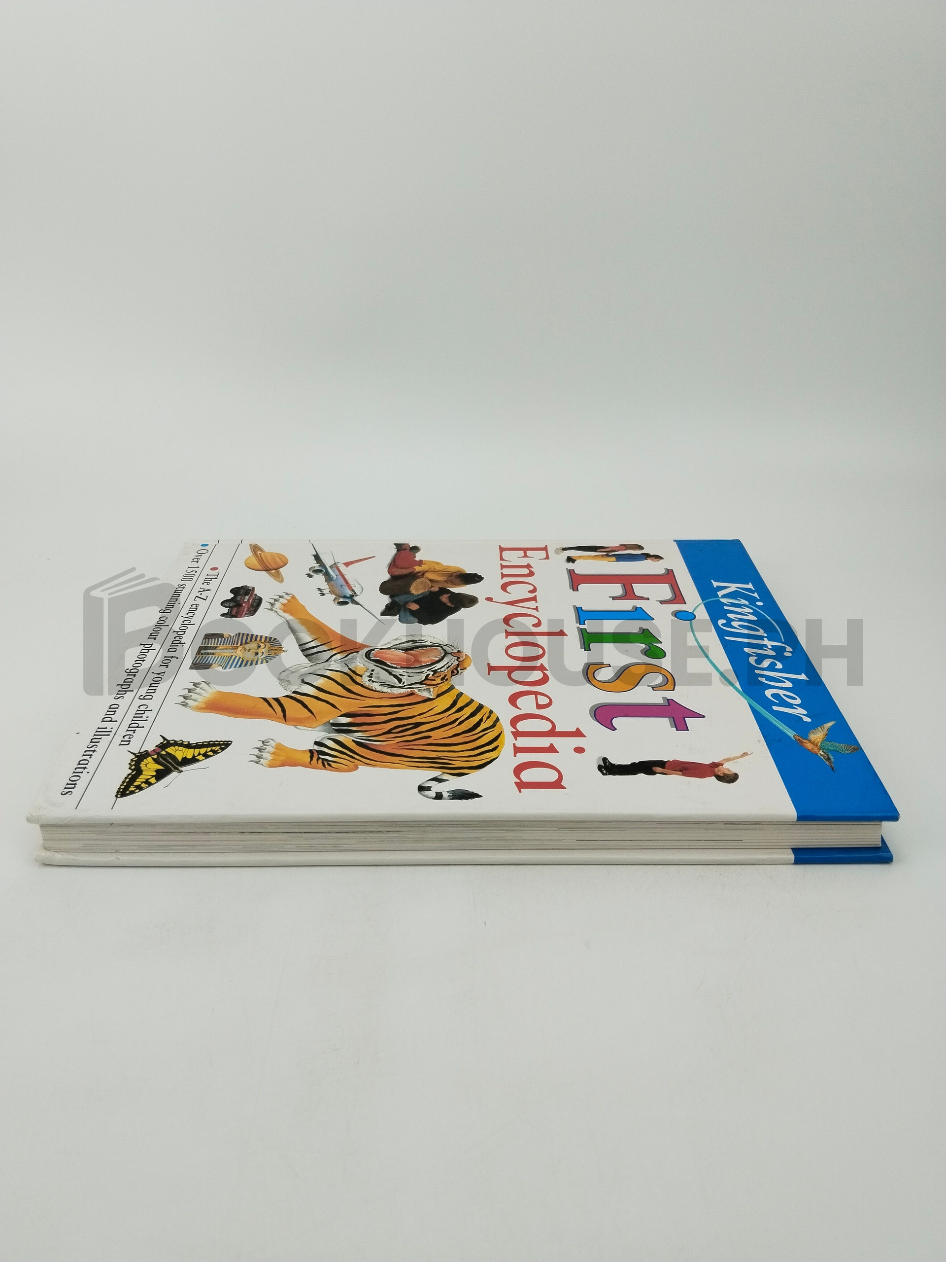 Kingfisher First Encyclopedia by Anne Civardi, Ruth Thomson - Image 4