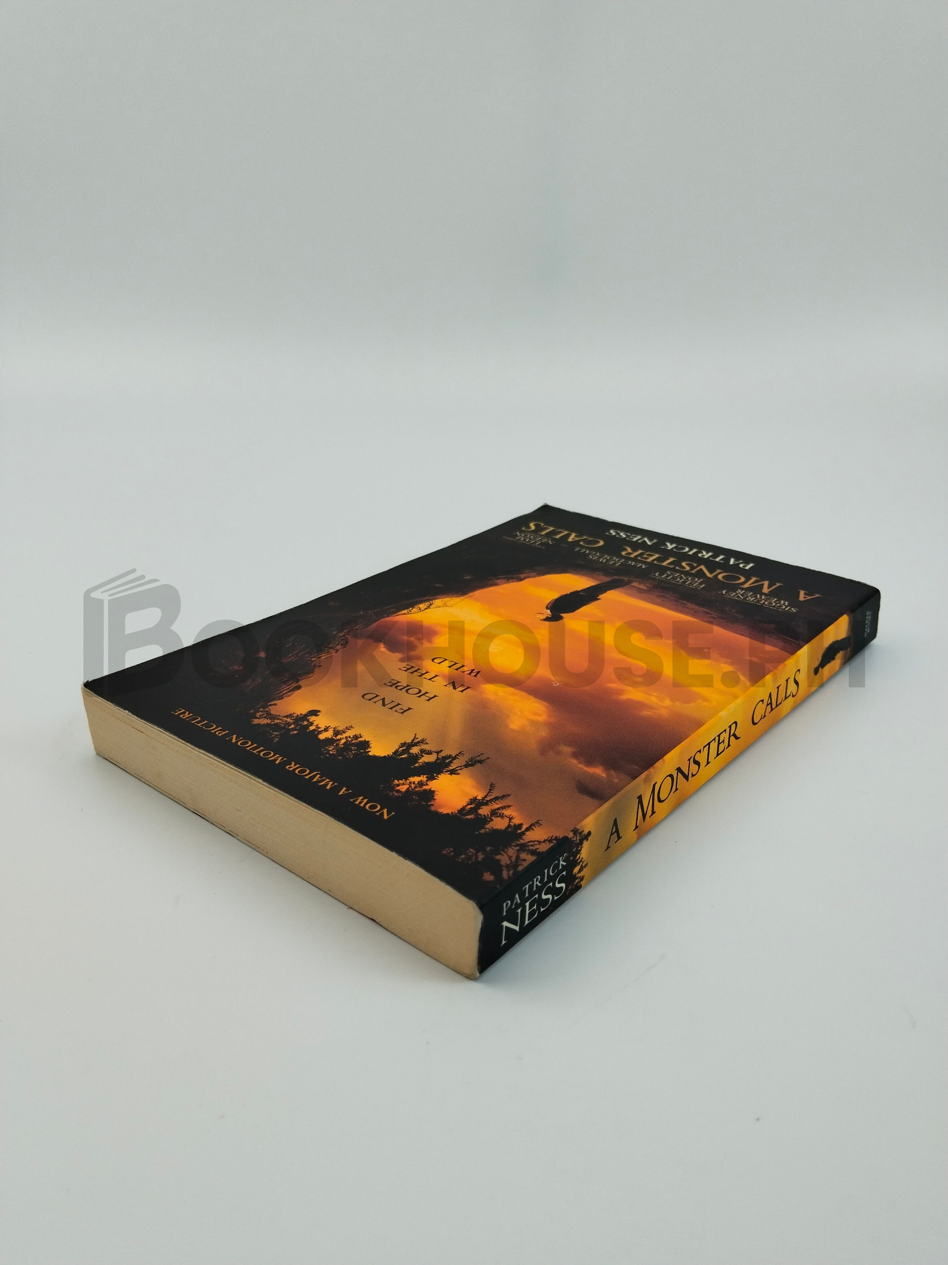 A Monster Calls by Patrick Ness - Image 2