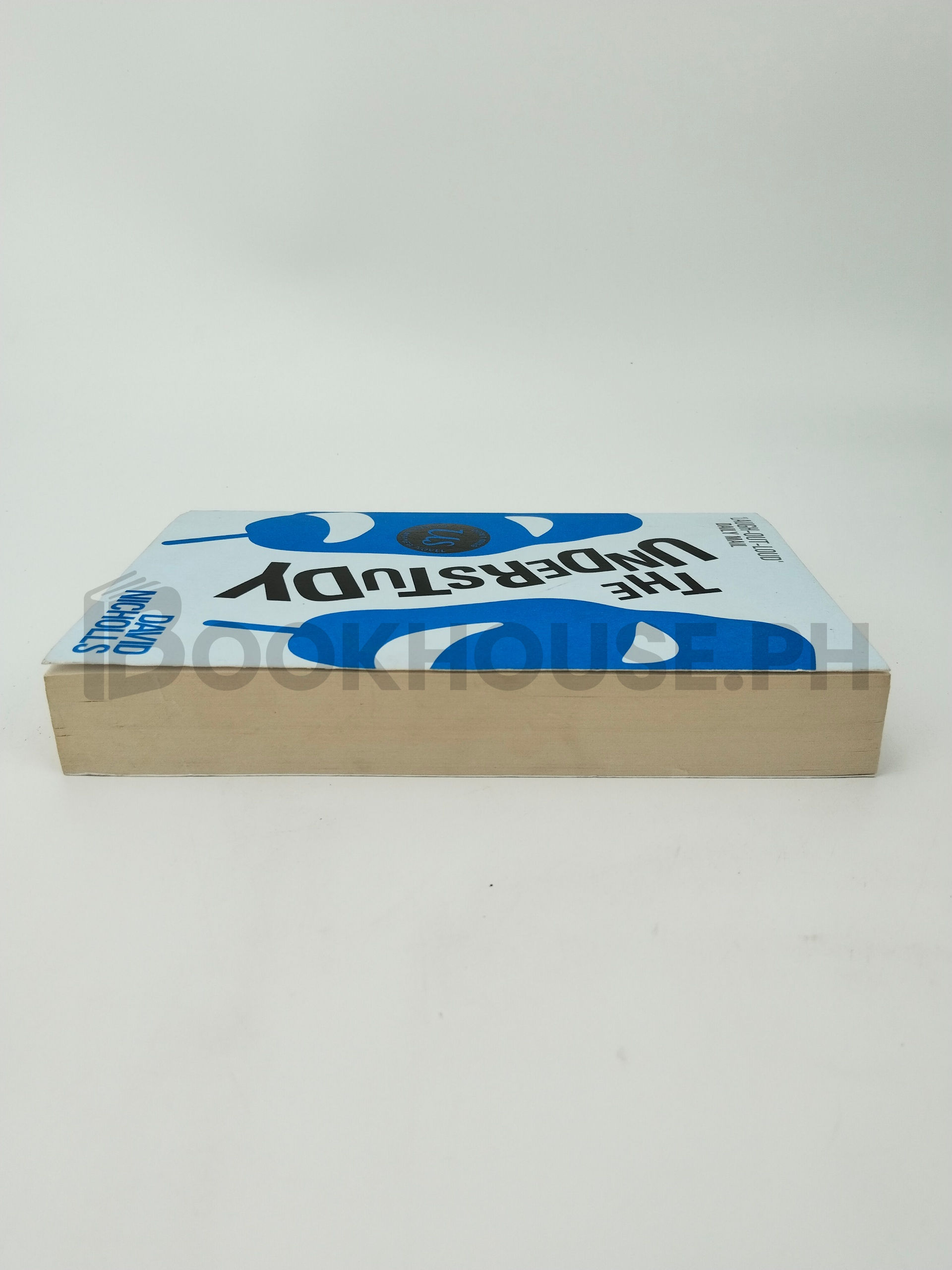 The Understudy by David Nicholls - Image 4
