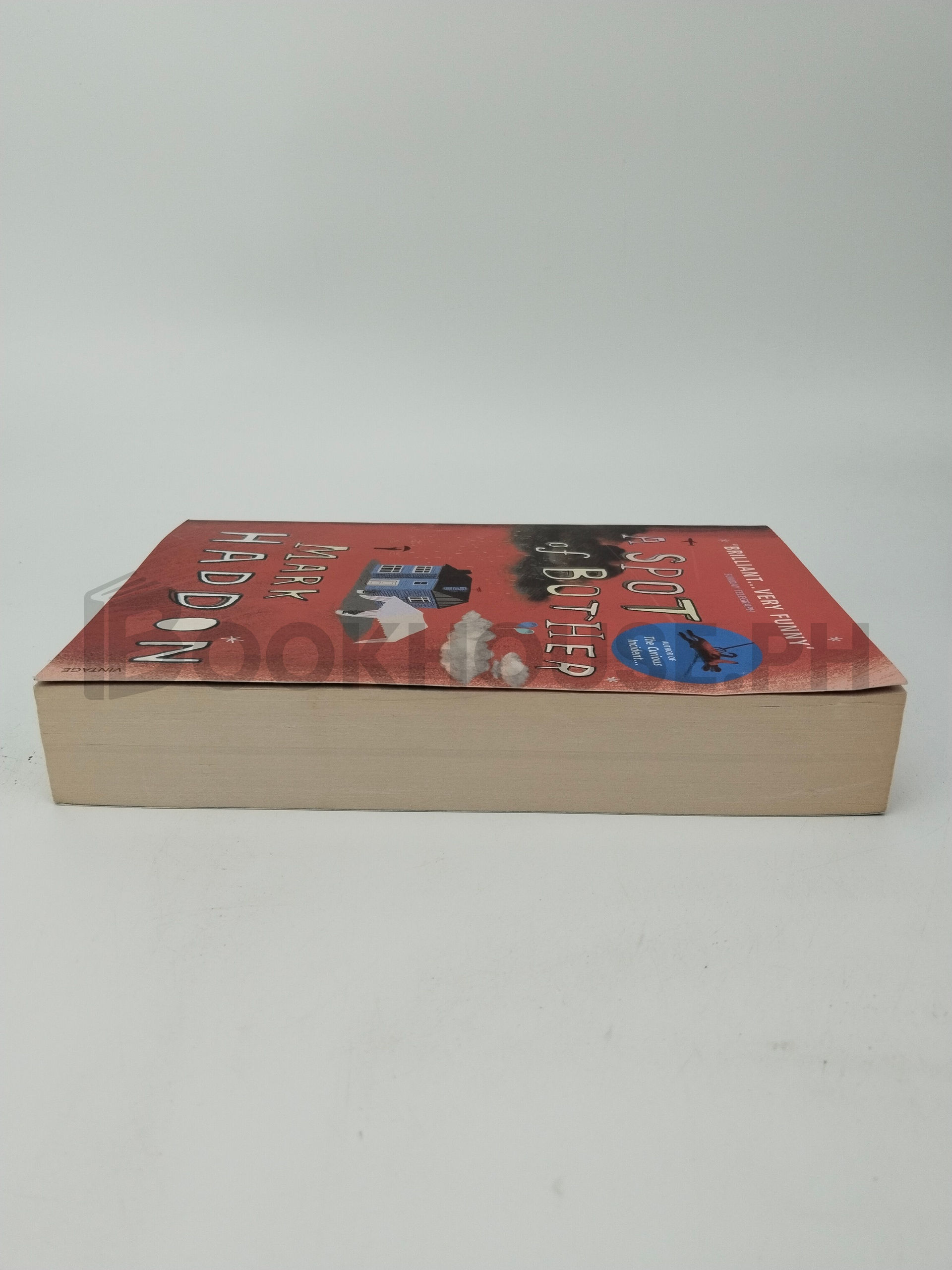 A Spot Of Bother by Mark Haddon - Image 4