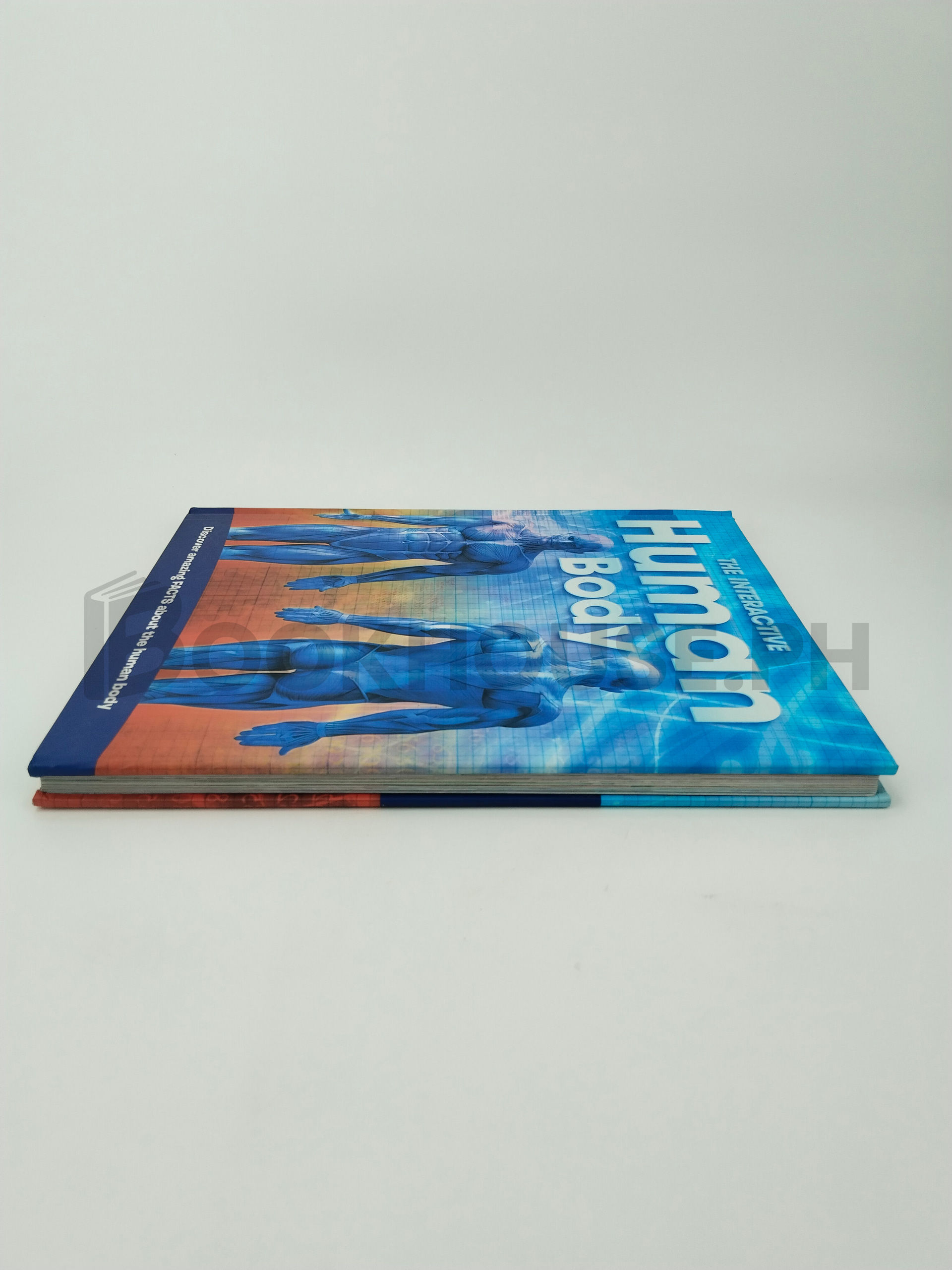 The Interactive Human Body by Igloo Books - Image 4