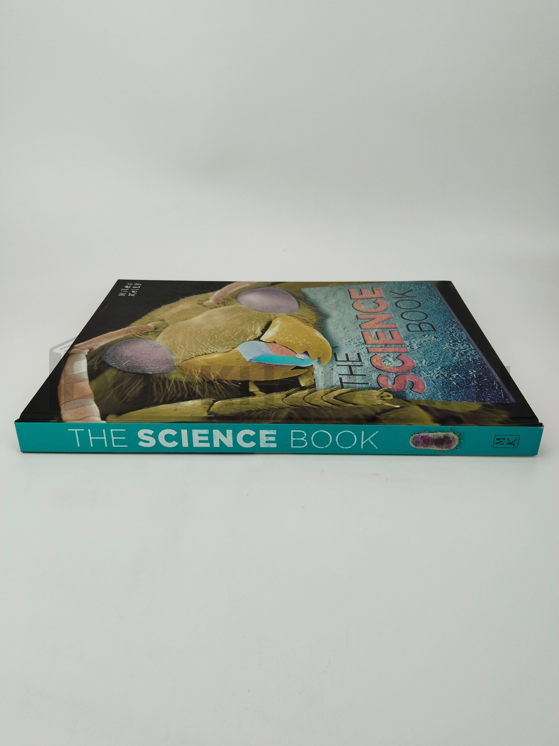 The Science Book by Richard Kelly - Image 3