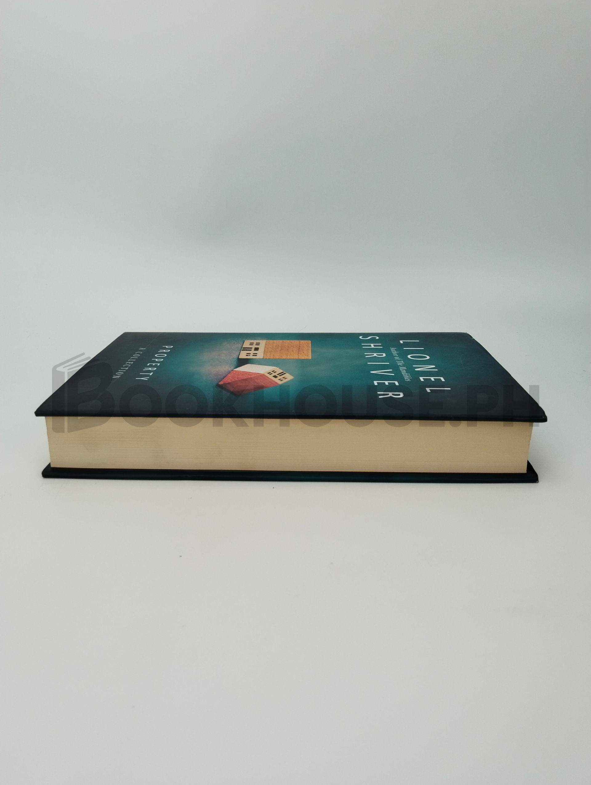 Property by Lionel Shriver - Image 4