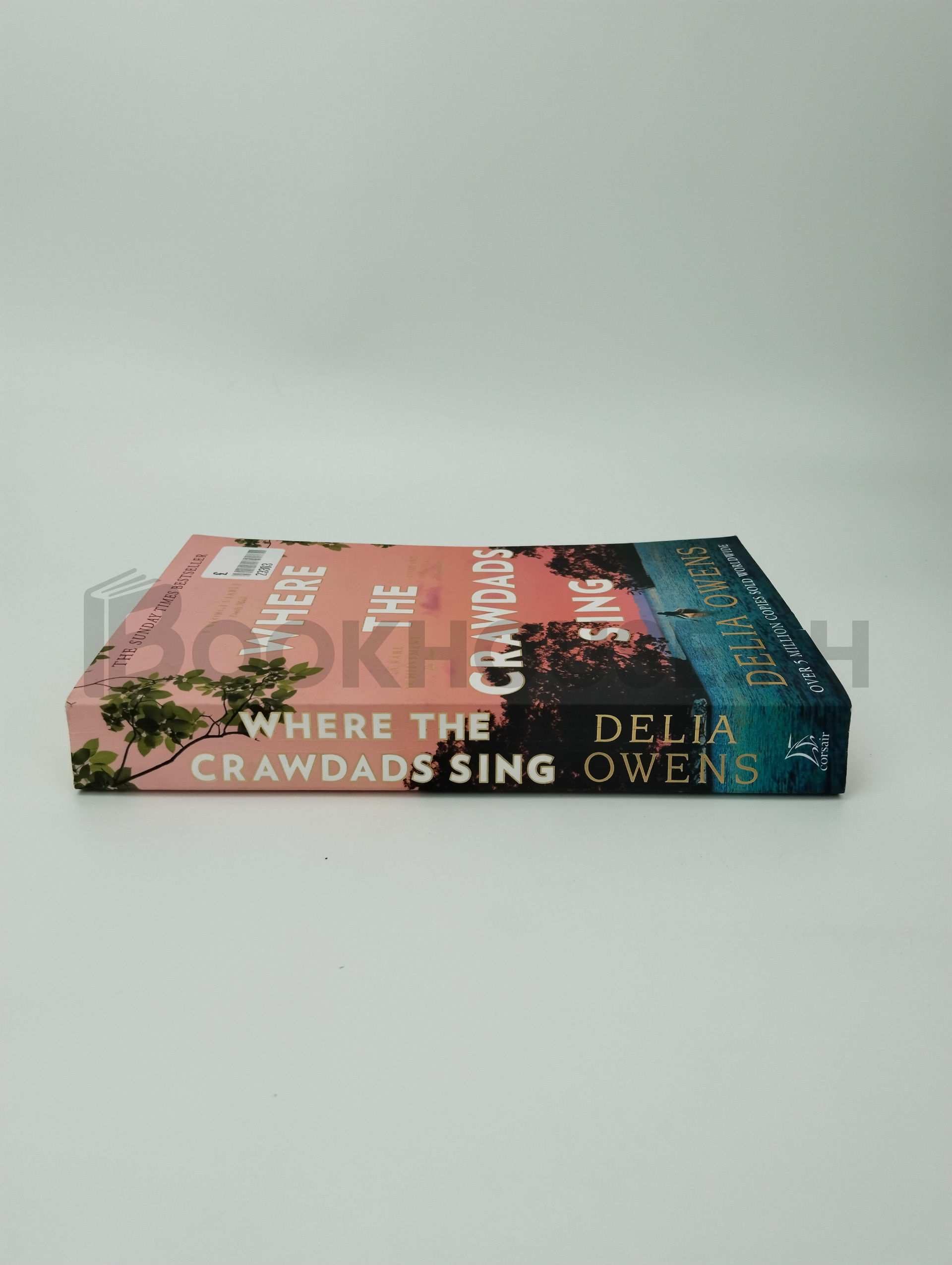 Where The Crawdads Sing by Delia Owens - Image 3