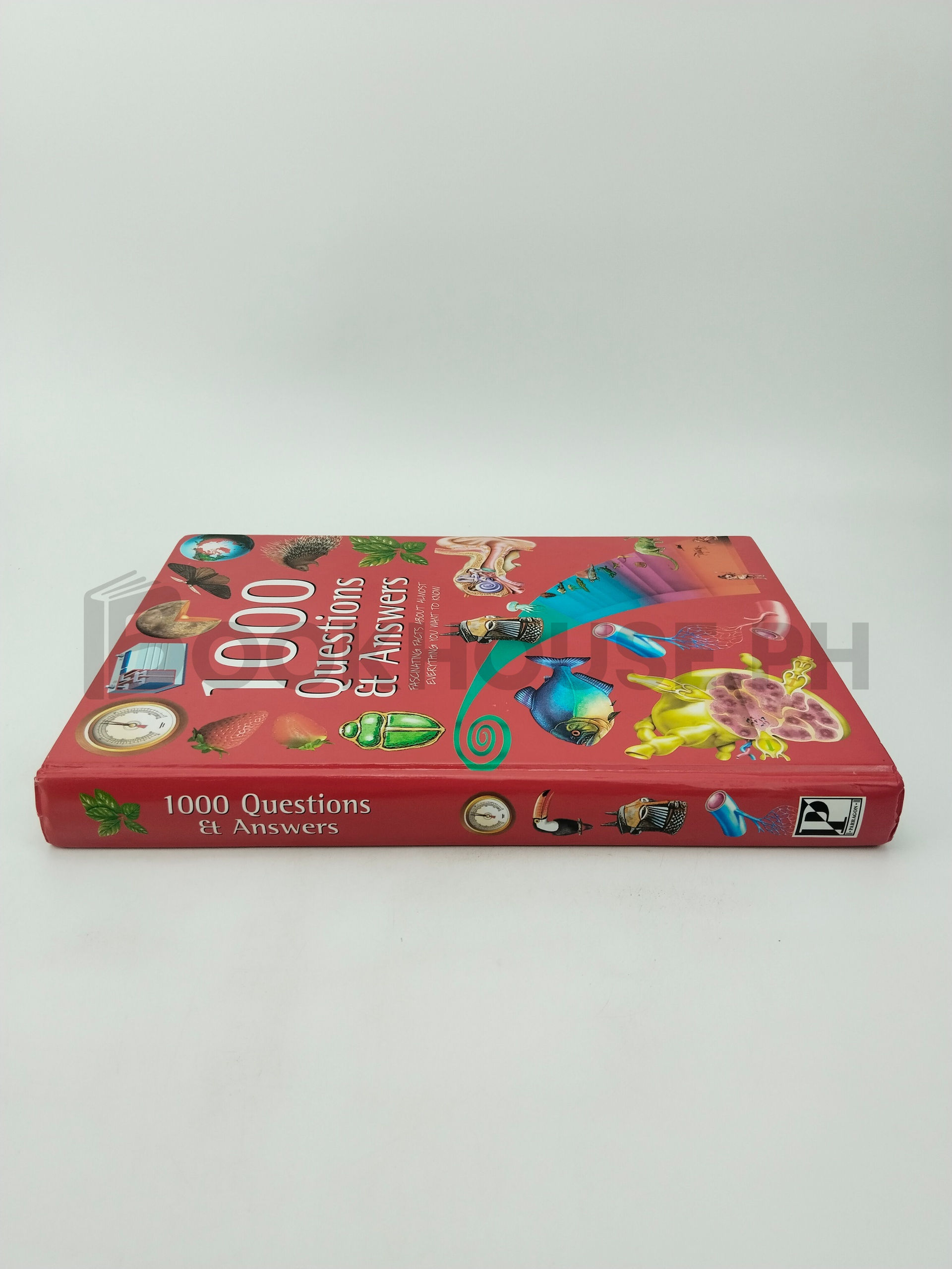 1000 Questions And Answers by Linda Sonntag - Image 3