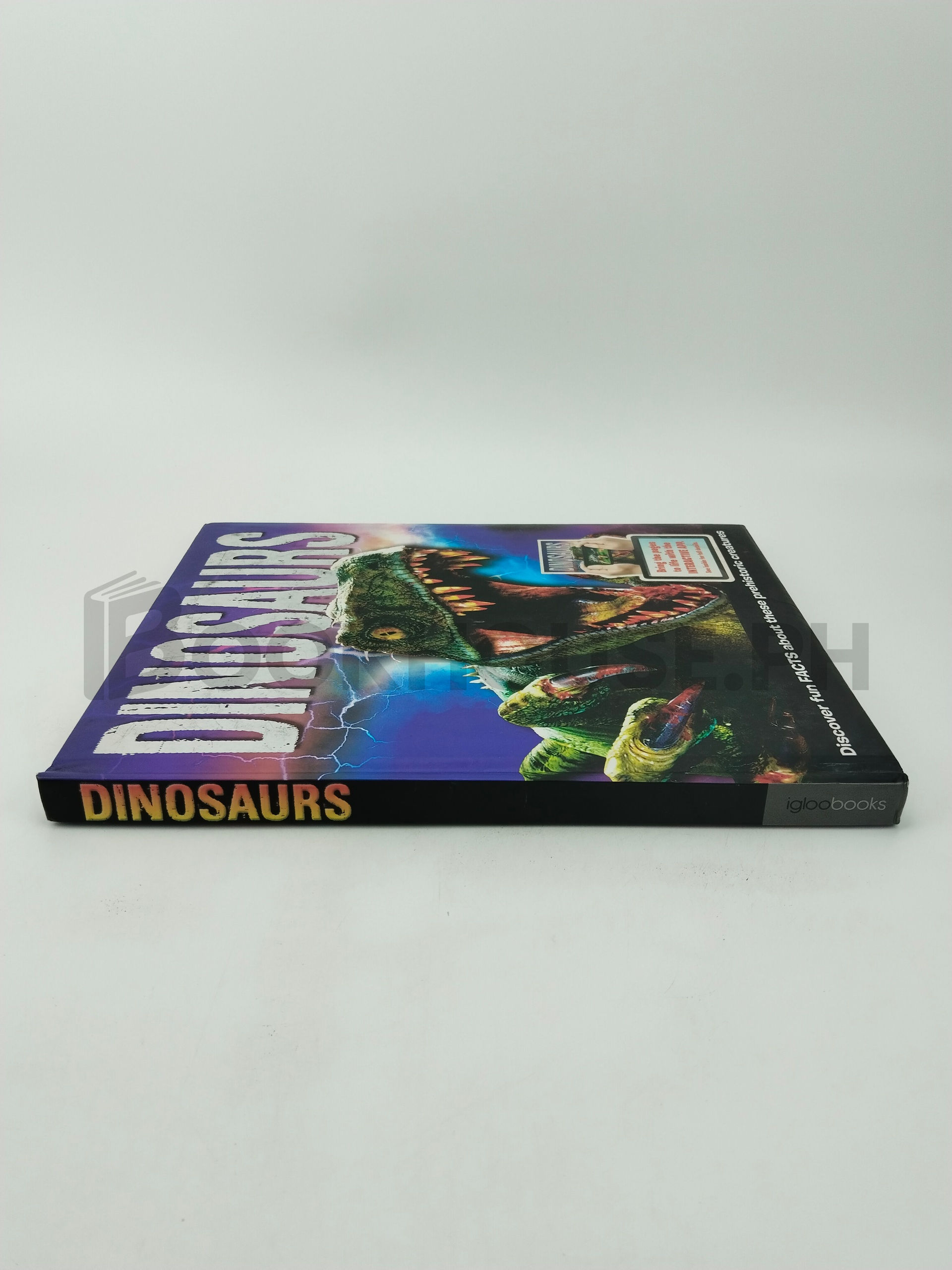 Dinosaurs by Igloo Books - Image 3