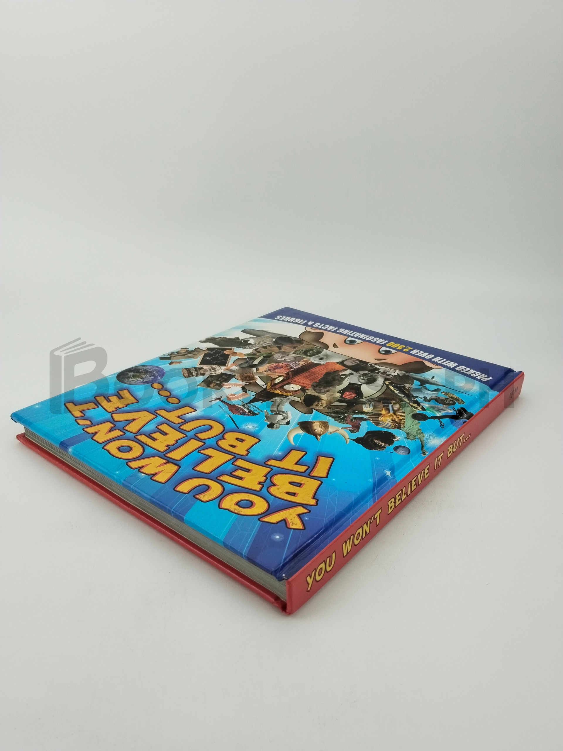 You Won't Believe It But... by Ice Water Press Staff - Image 2