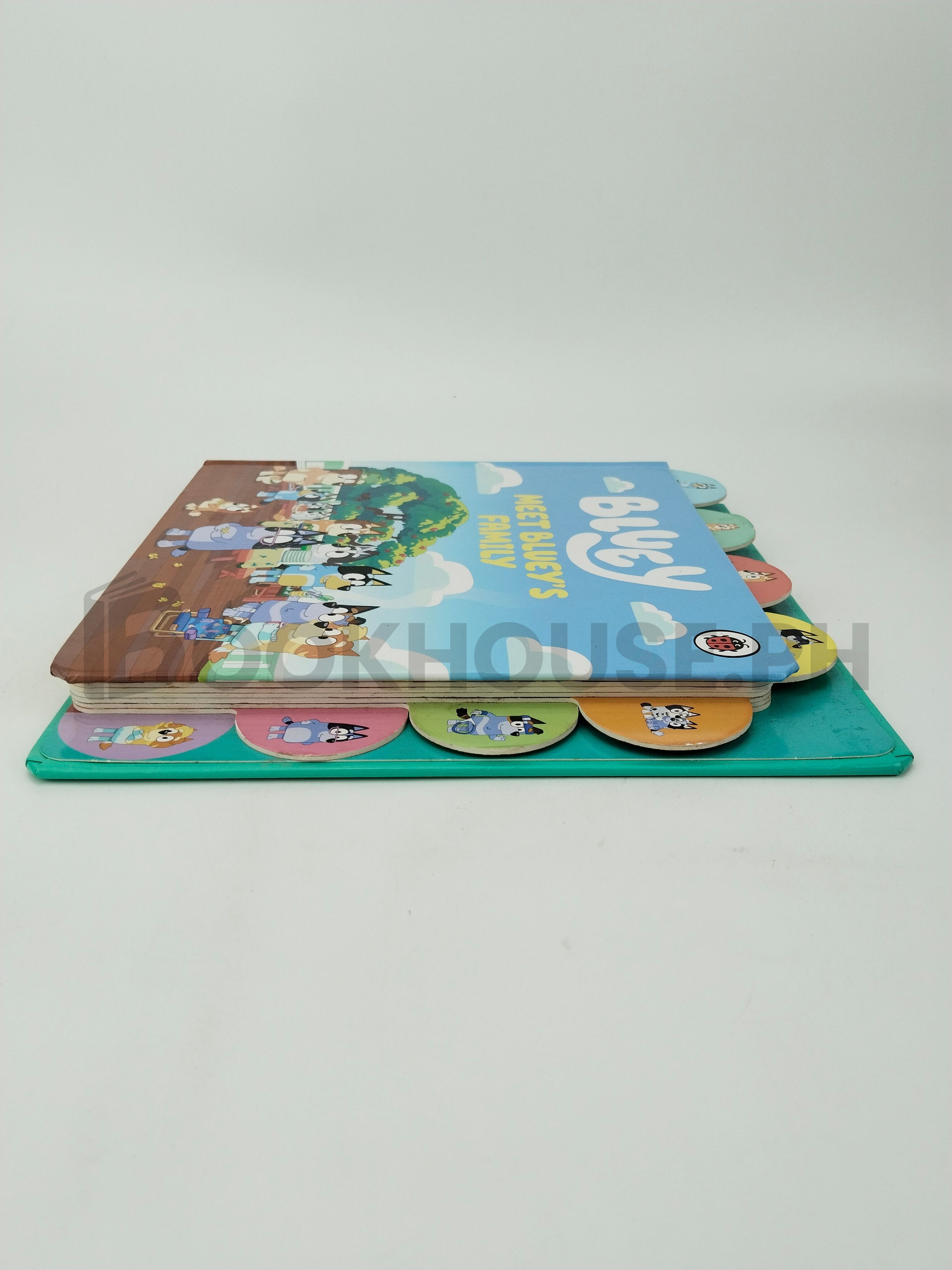 Bluey: Meet Bluey's Family by Bluey - Image 4