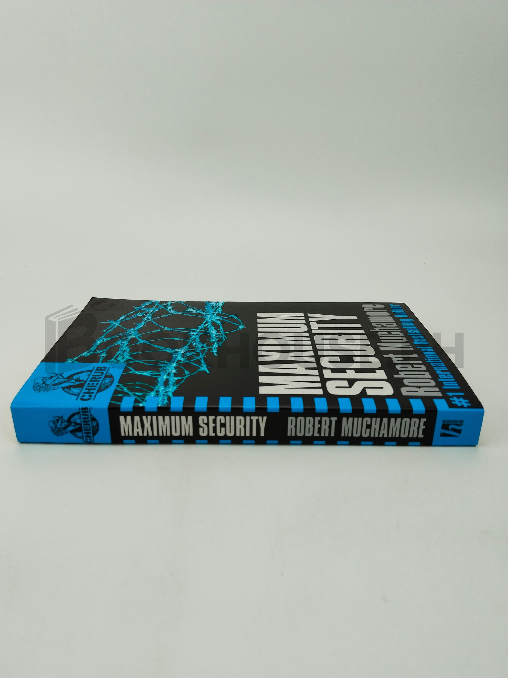 Maximum Security by Robert Muchamore - Image 3