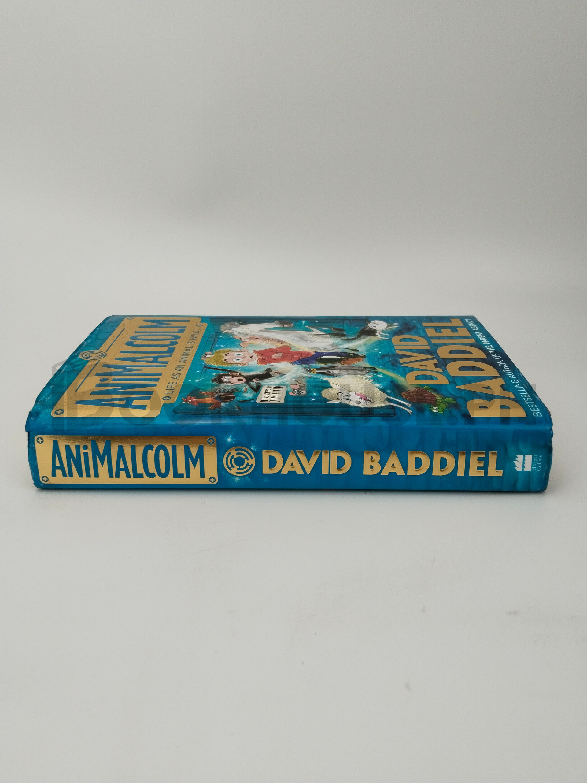 Animalcolm by David Baddiel - Image 3