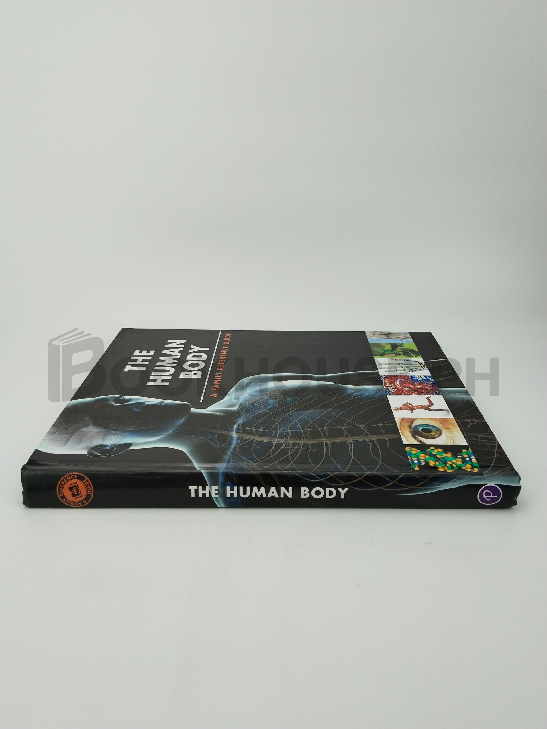 The Human Body by Guy Croton - Image 3