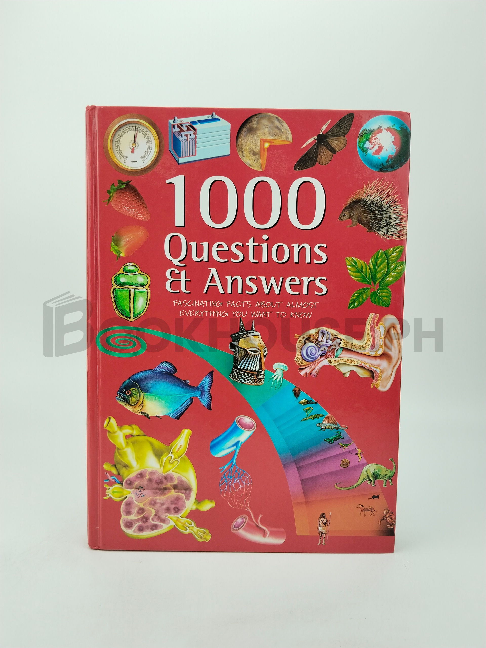 1000 Questions And Answers by Linda Sonntag