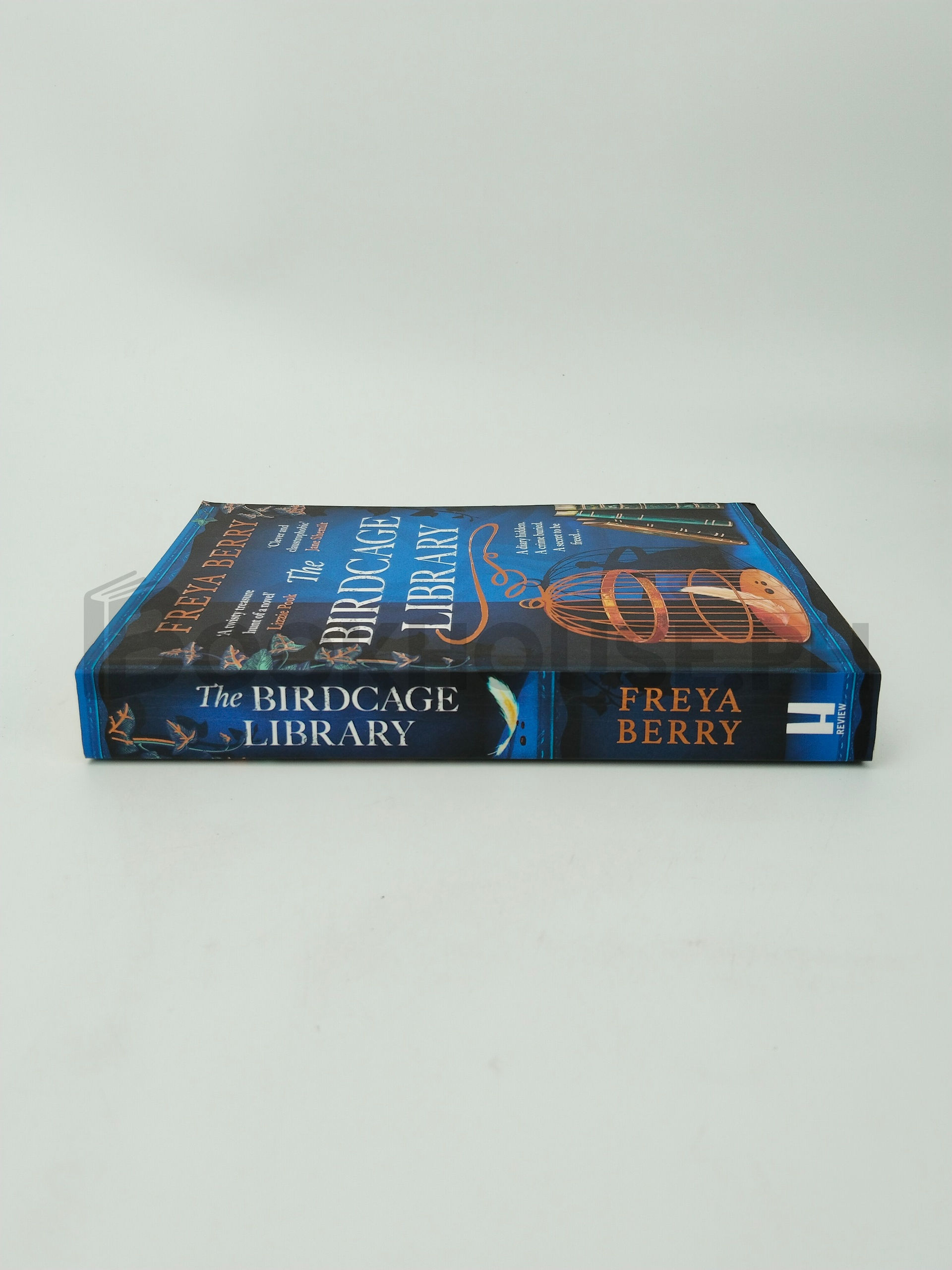 The Birdcage Library by Freya Berry - Image 3