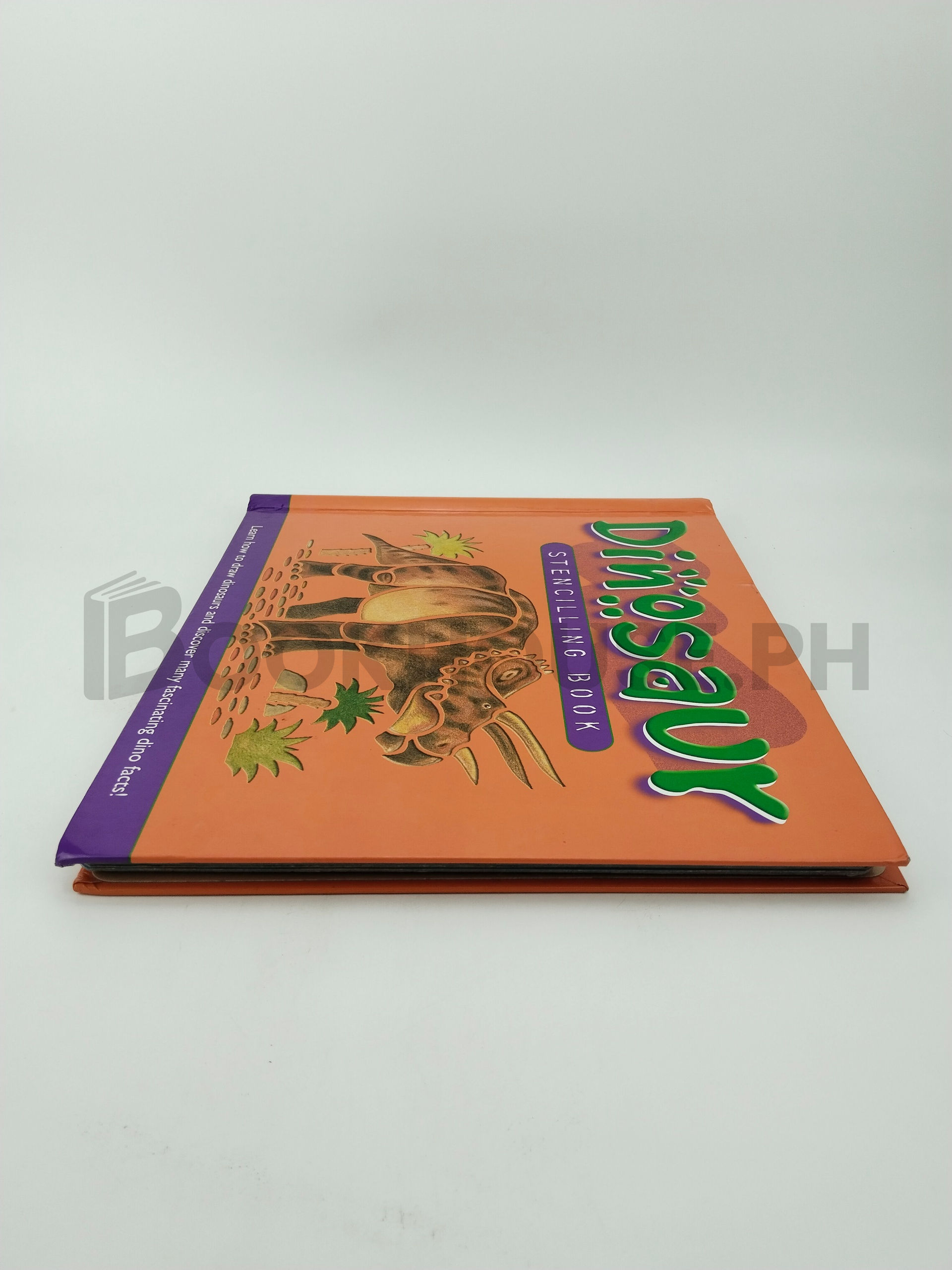 Dinosaur Stencilling Book by Book Studio - Image 4