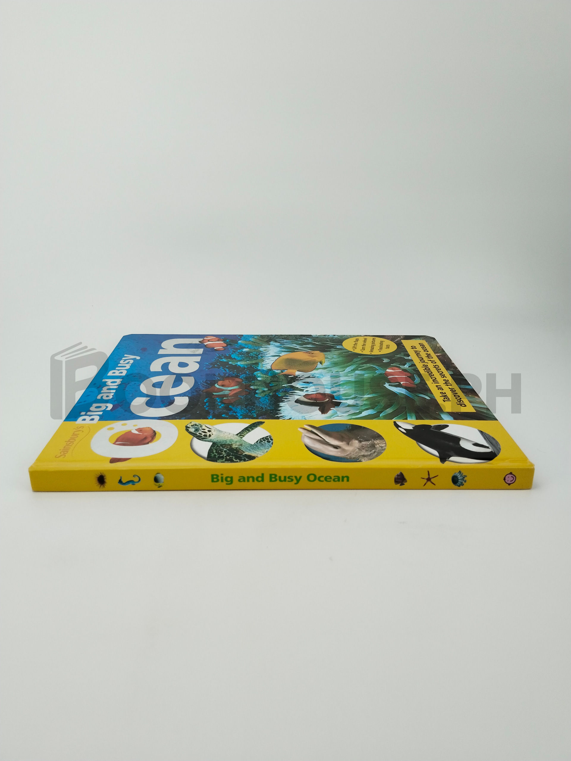 Big And Busy Ocean by Priddy Books - Image 3