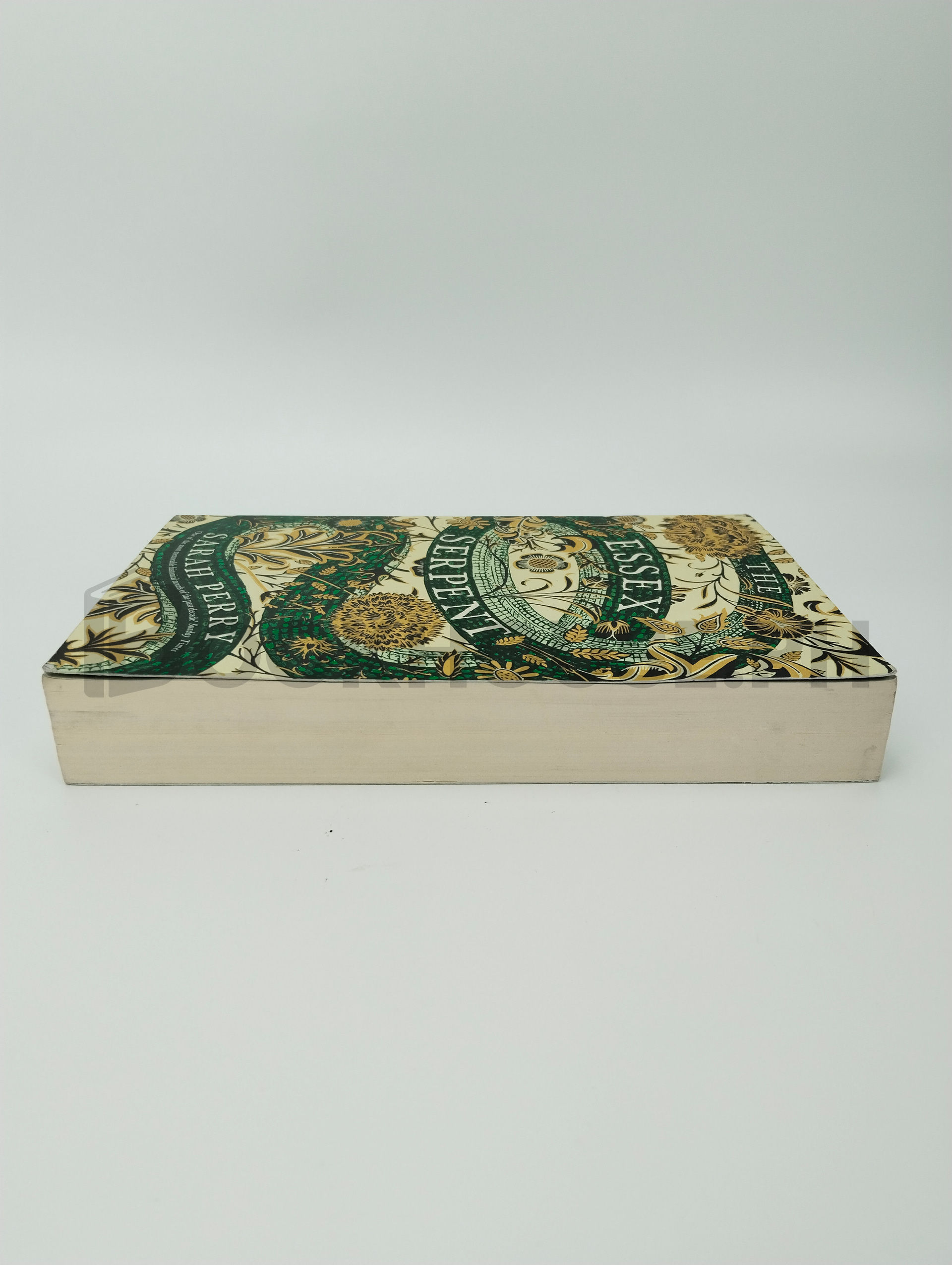 The Essex Serpent by Sarah Perry - Image 4